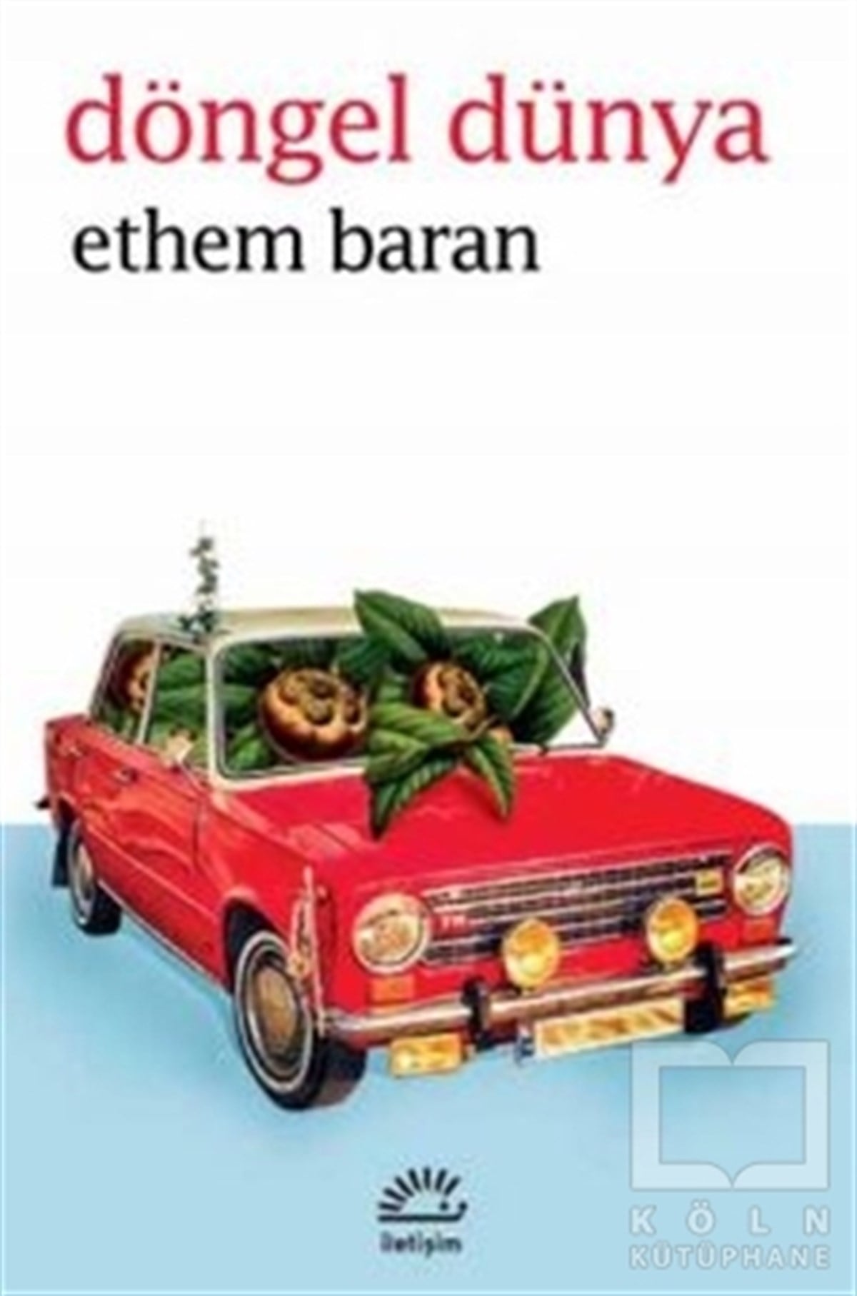 Ethem BaranRomanDöngel Dünya