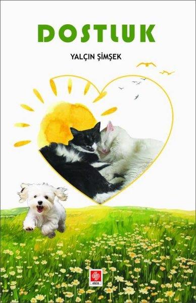 Yalçın şimşekDeneme KitaplarıDostluk