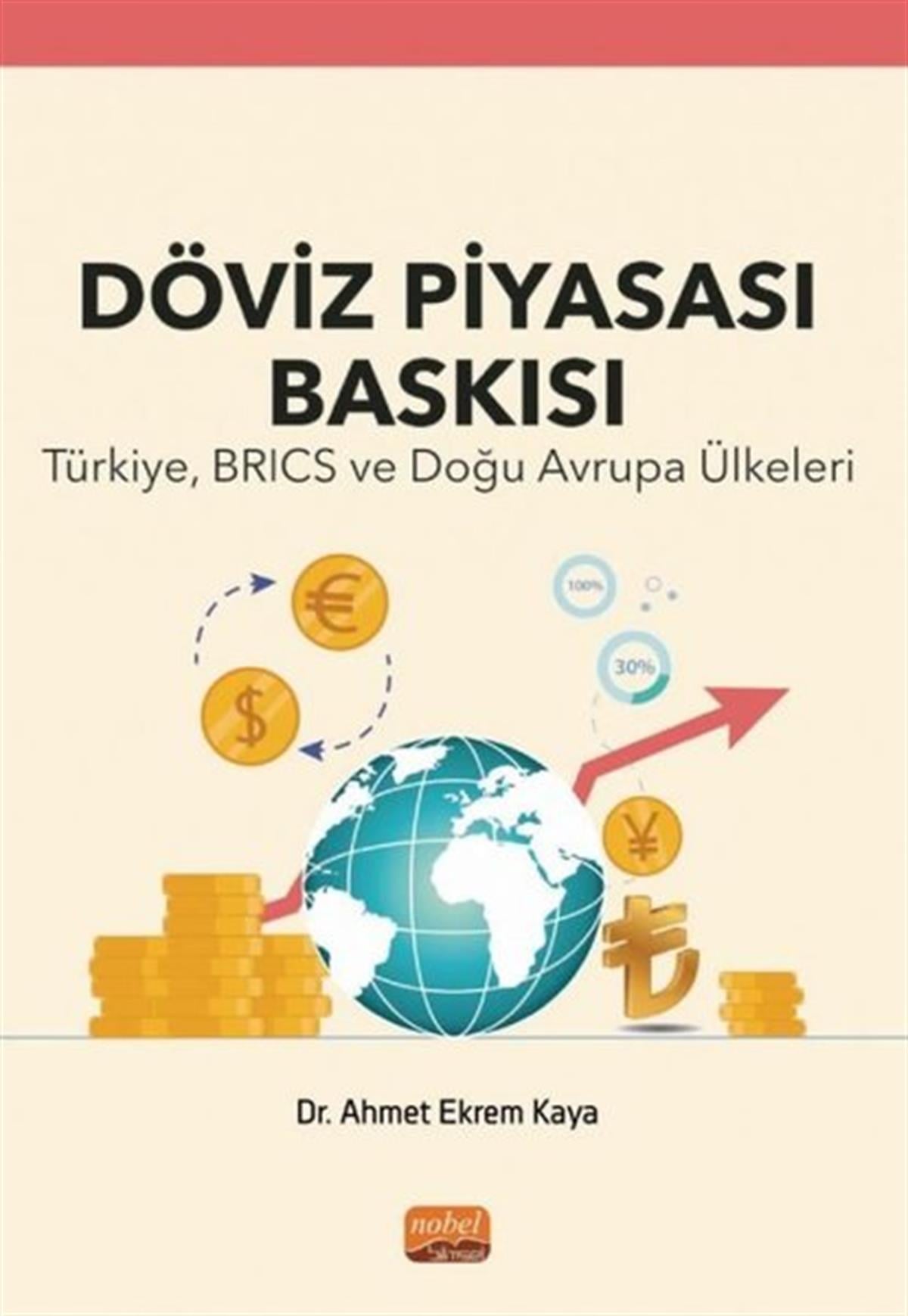 Ahmet Ekrem KayaInceleme - KuramDöviz Piyasası Baskısı