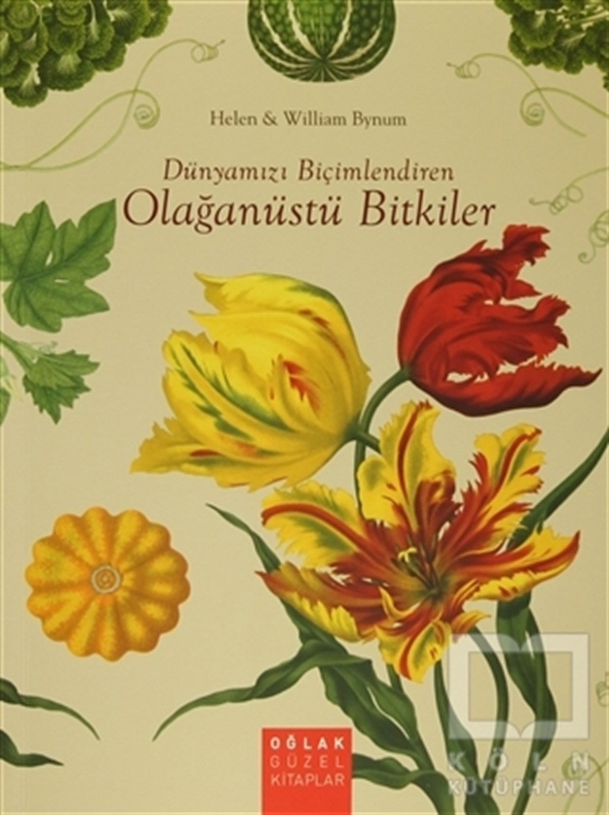 Dünyamızı Biçimlendiren Olağanüstü Bitkiler