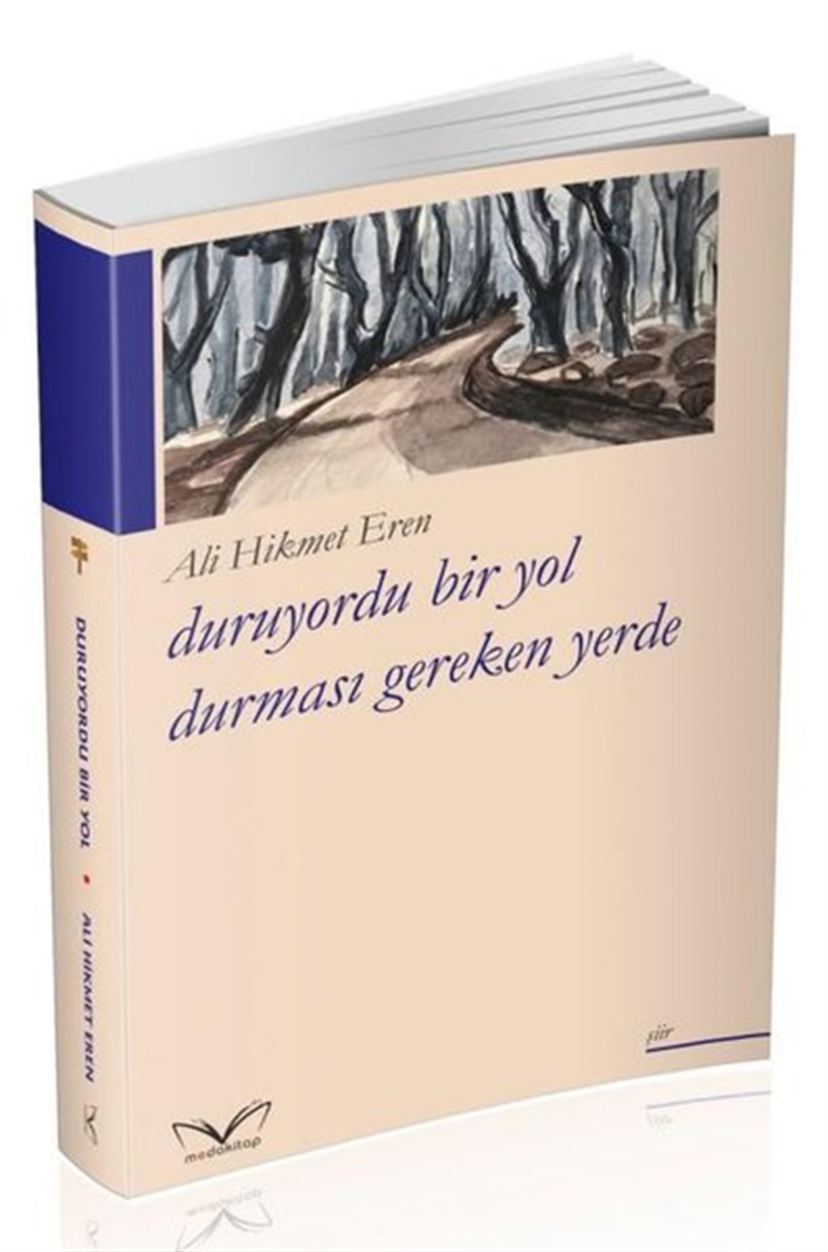 Ali Hikmet ErenTürk ŞiiriDuruyordu Bir Yol Durması Gereken Yerde