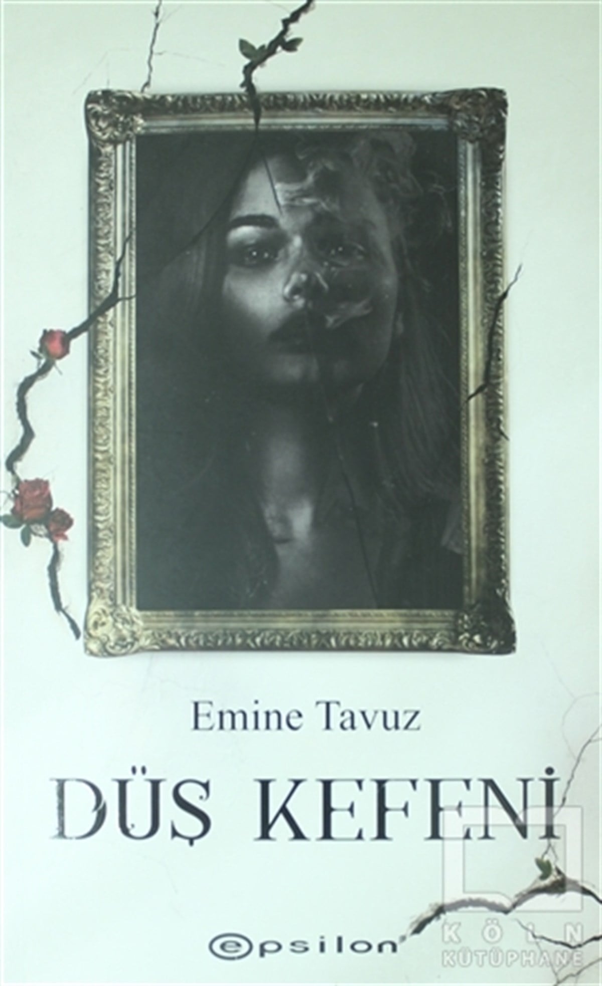 Emine TavuzTürkçe RomanlarDüş Kefeni
