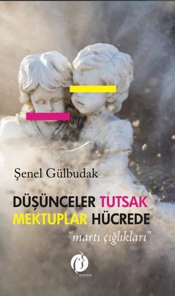 Şenol GülbudakTürk ŞiiriDüşünceler Tutsak Mektuplar Hücrede - Martı Çığlıkları
