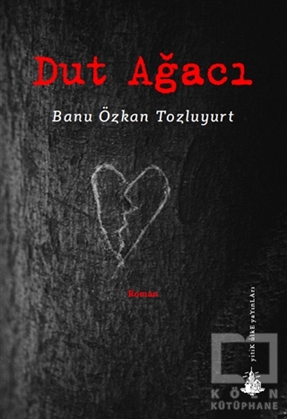Banu Özkan TozluyurtRomanDut Ağacı