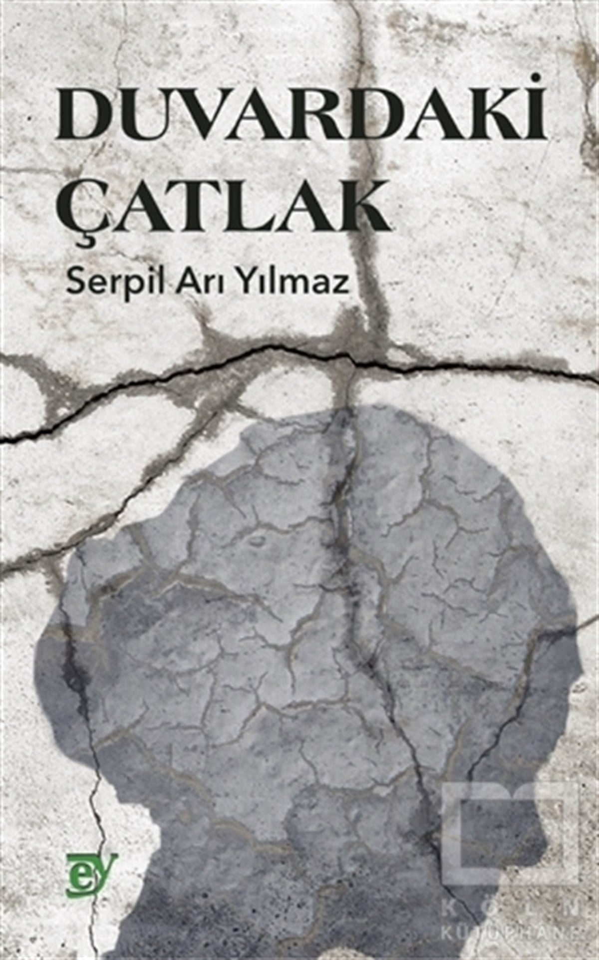 Serpil Arı YılmazAraştırma-İnceleme-ReferansDuvardaki Çatlak