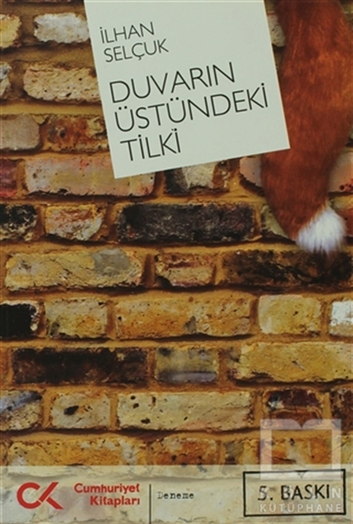 Duvarın Üstündeki Tilki