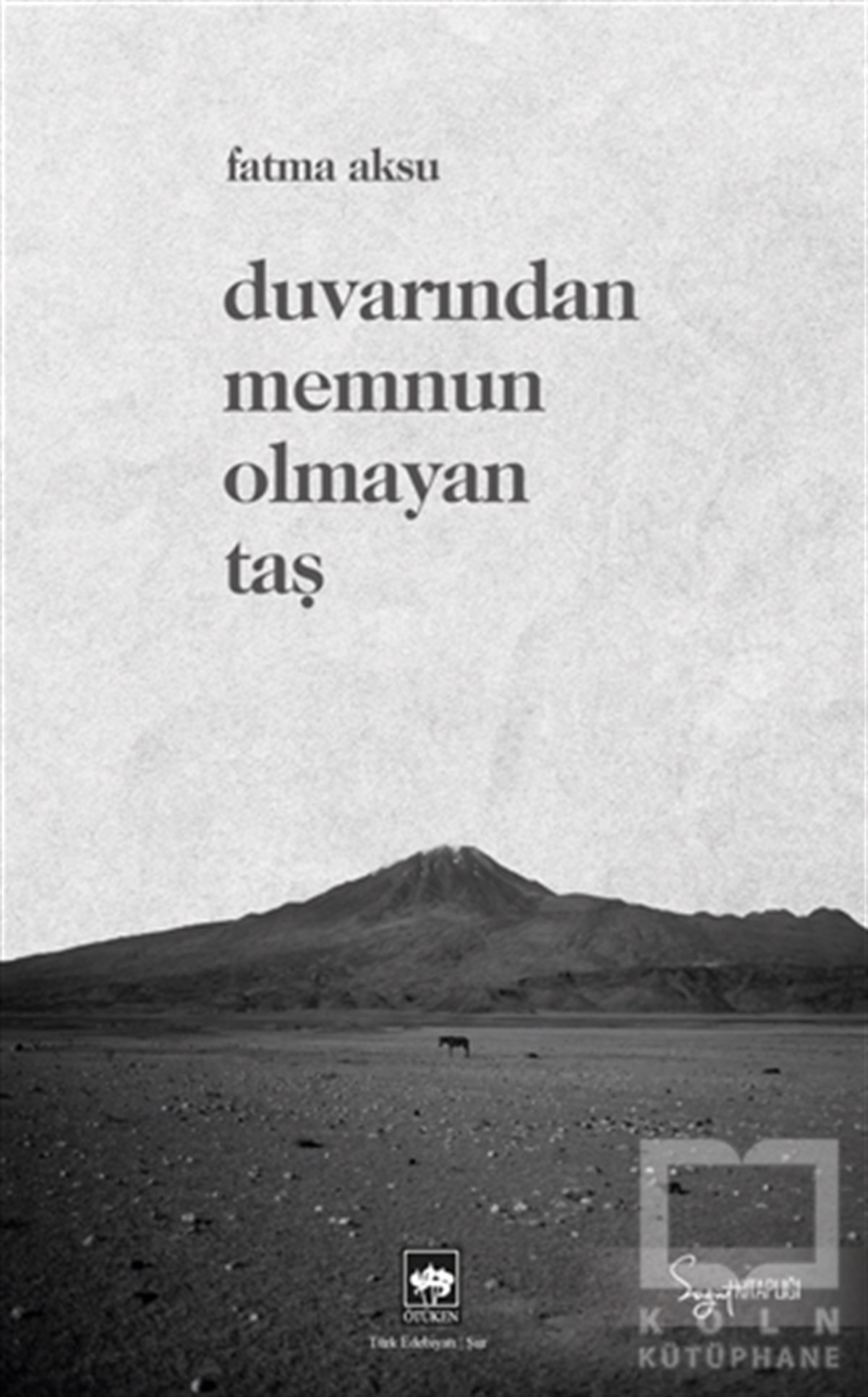 Fatma AksuTürkçe Şiir KitaplarıDuvarından Memnun Olmayan Taş