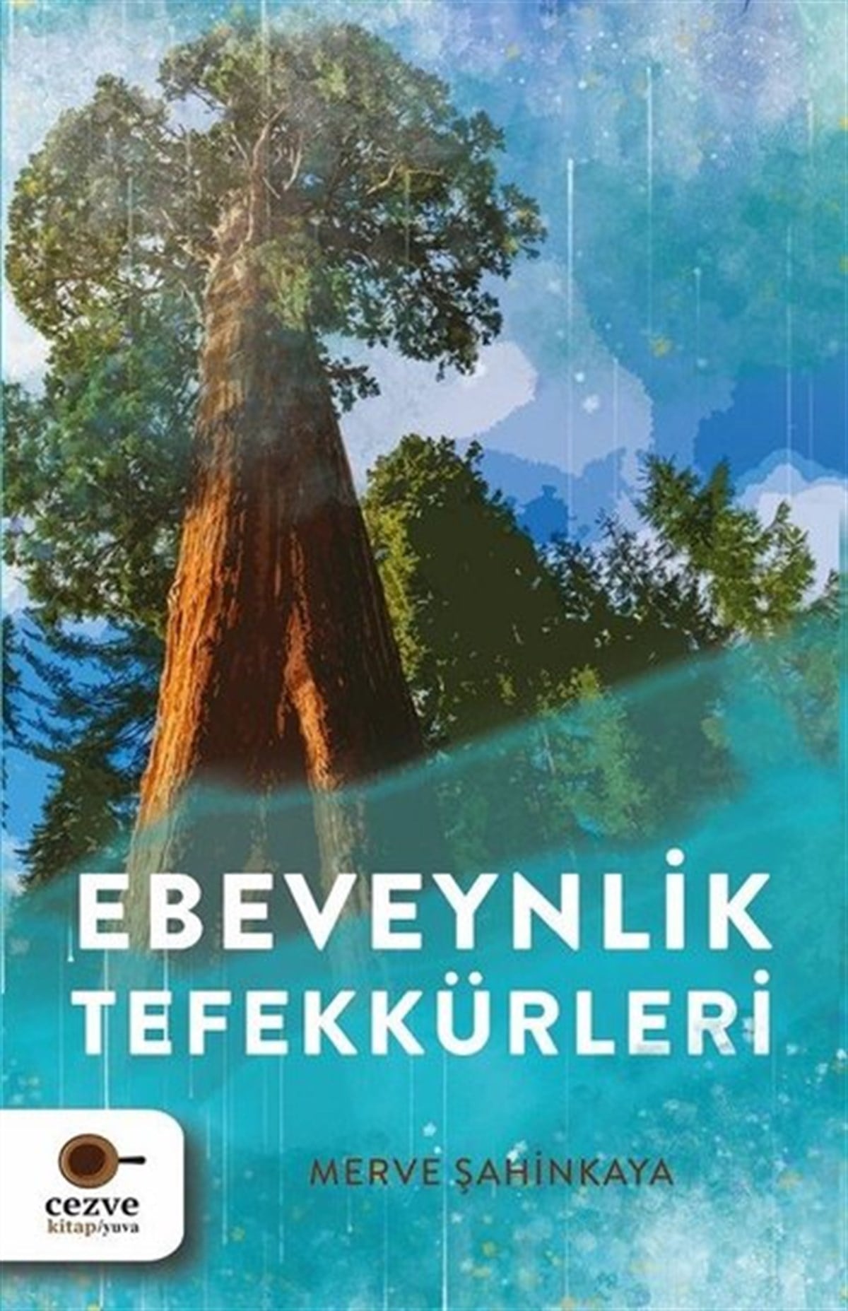 Merve ŞahinkayaKişisel Gelişim KitaplarıEbeveynlik Tefekkürleri