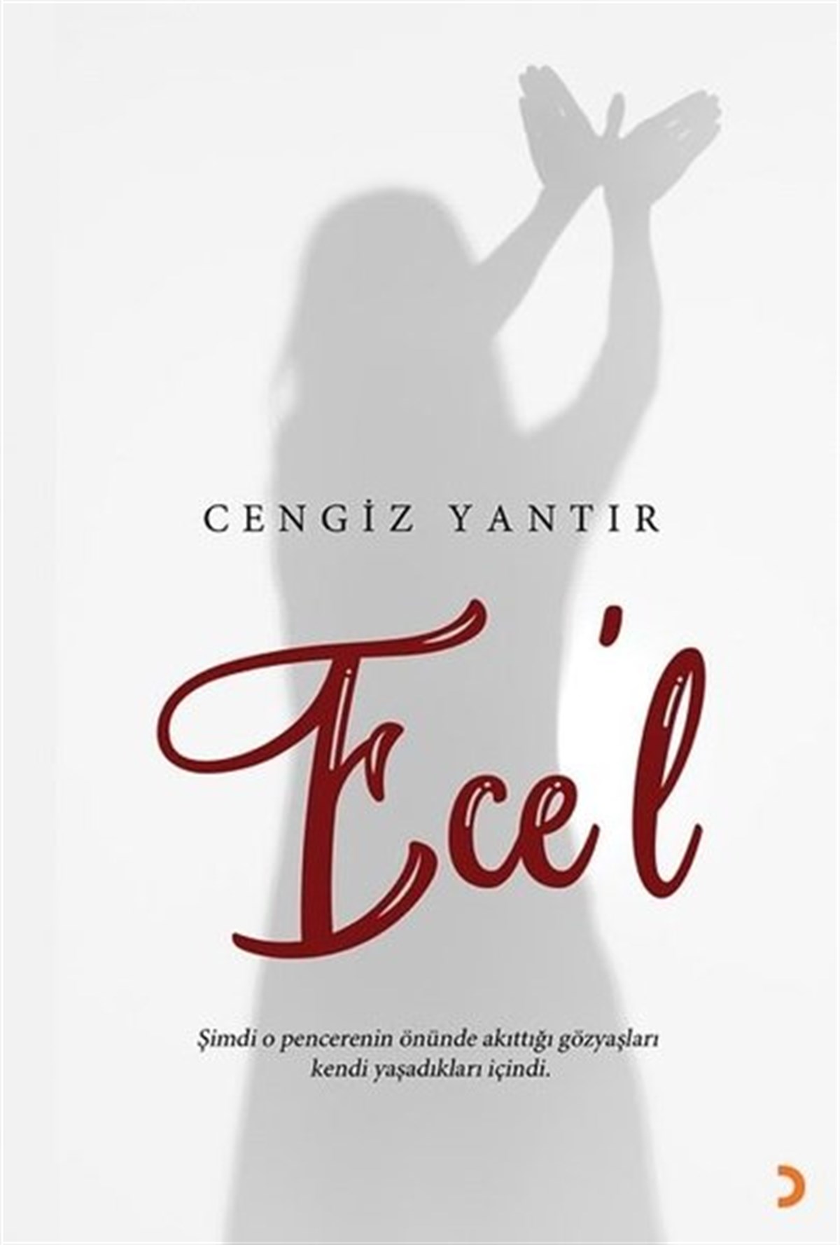 Cengiz YantırTürkiye RomanEce'l