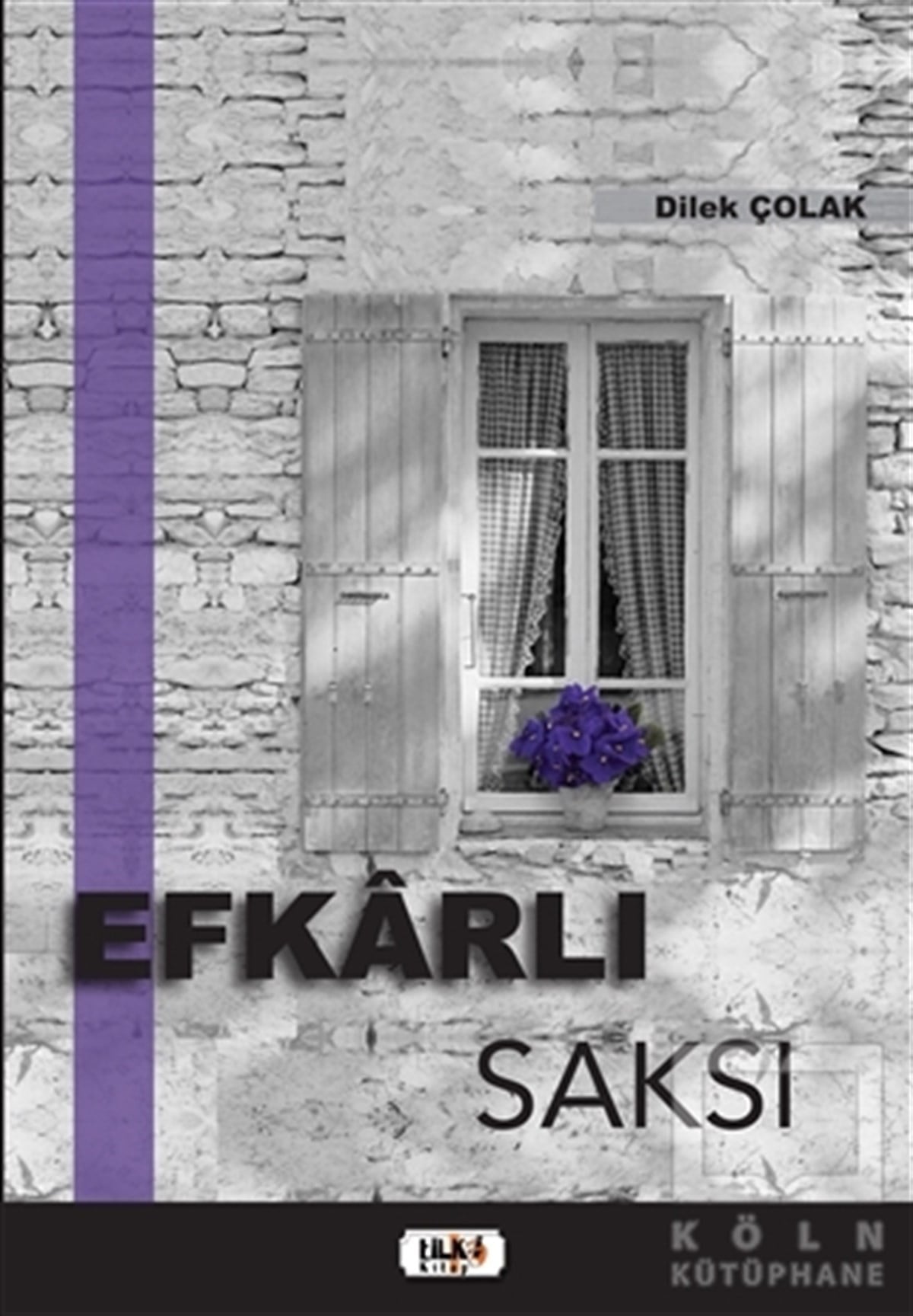 Dilek ÇolakTürkçe Şiir KitaplarıEfkarlı Saksı