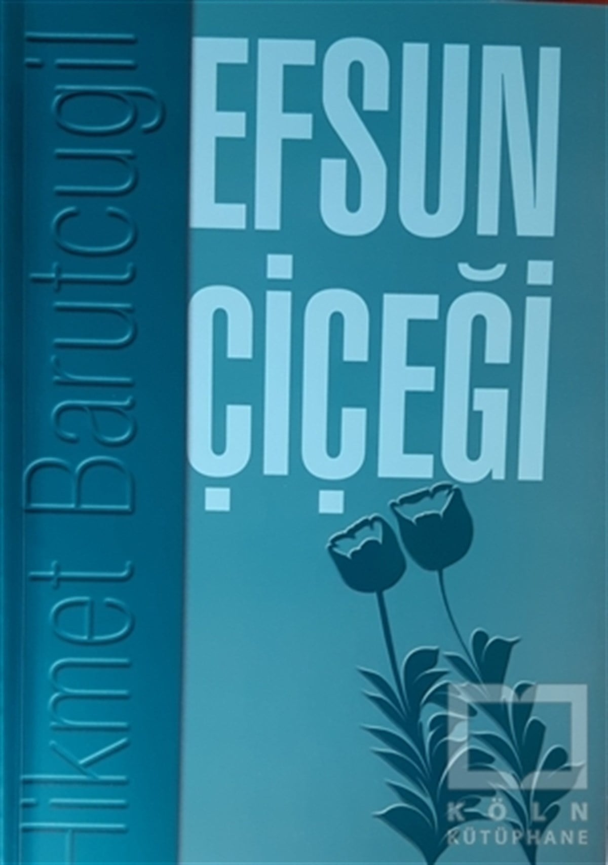 Hikmet BarutçugilSergi KitaplarıEfsun Çiçeği