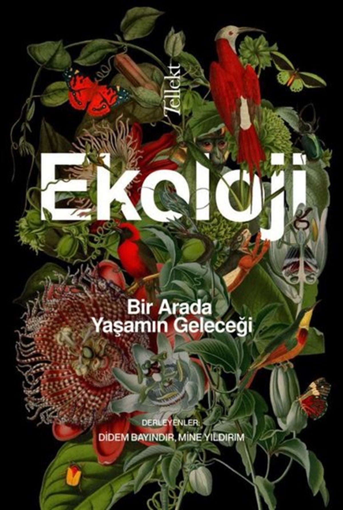 KolektifÇevre MühendisliğiEkoloji: Bir Arada Yaşamın Geleceği