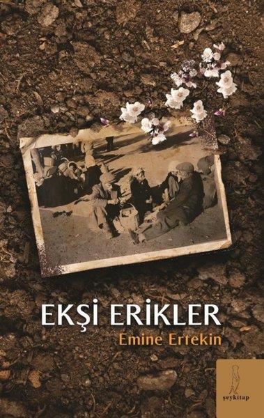 Emine ErtekinTürkiye RomanEkşi Erikler