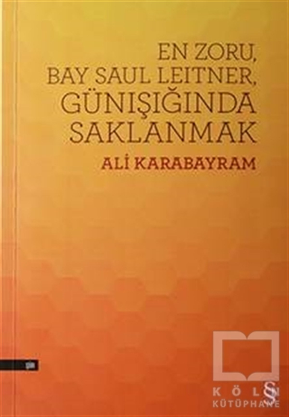 Ali KarabayramŞiirEn Zoru, Bay Saul Leitner, Günışığında Saklanmak