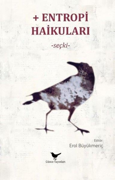 KolektifTürk ŞiiriEntropi Haikuları