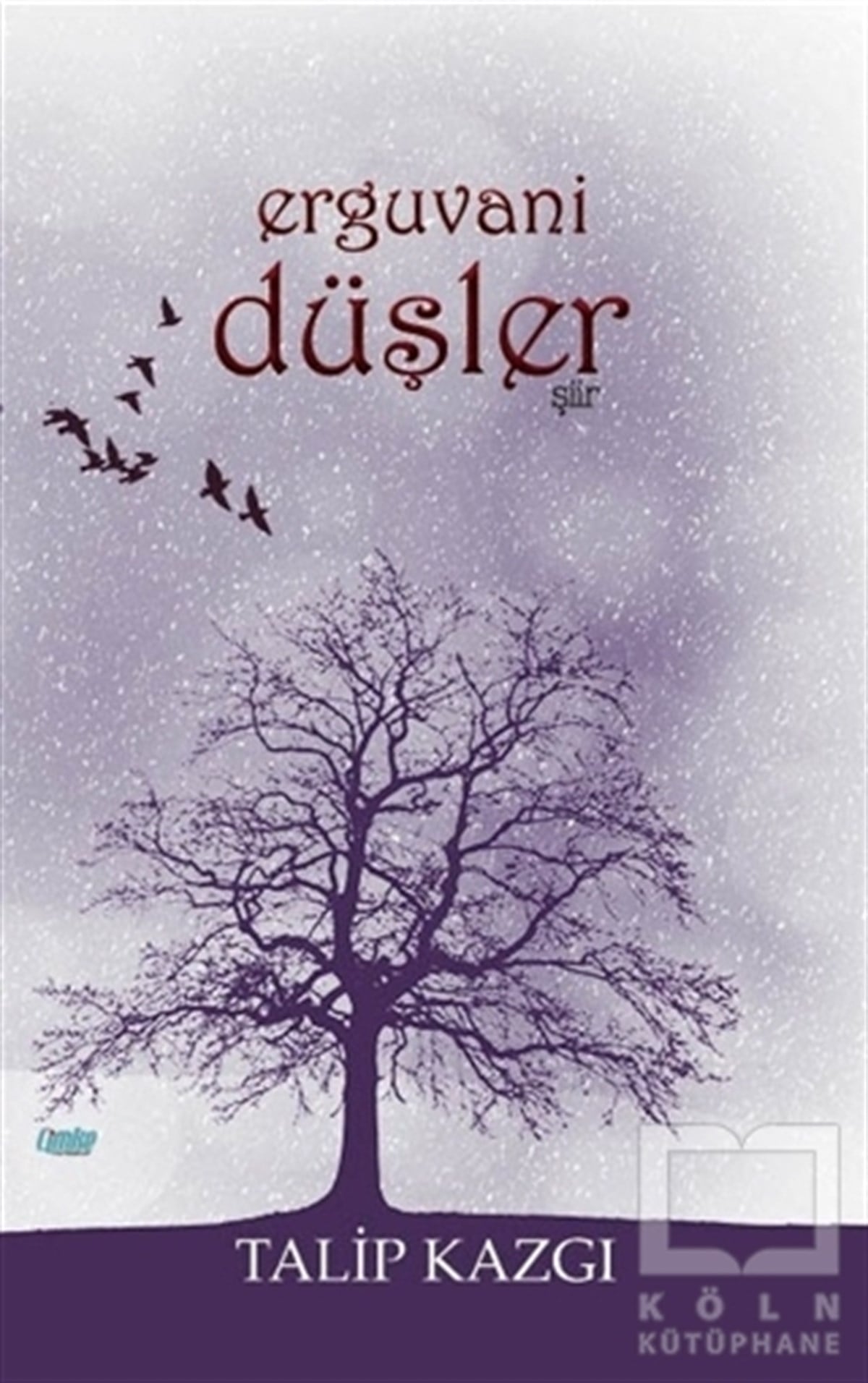 Talip KazgıŞiirErguvani Düşler