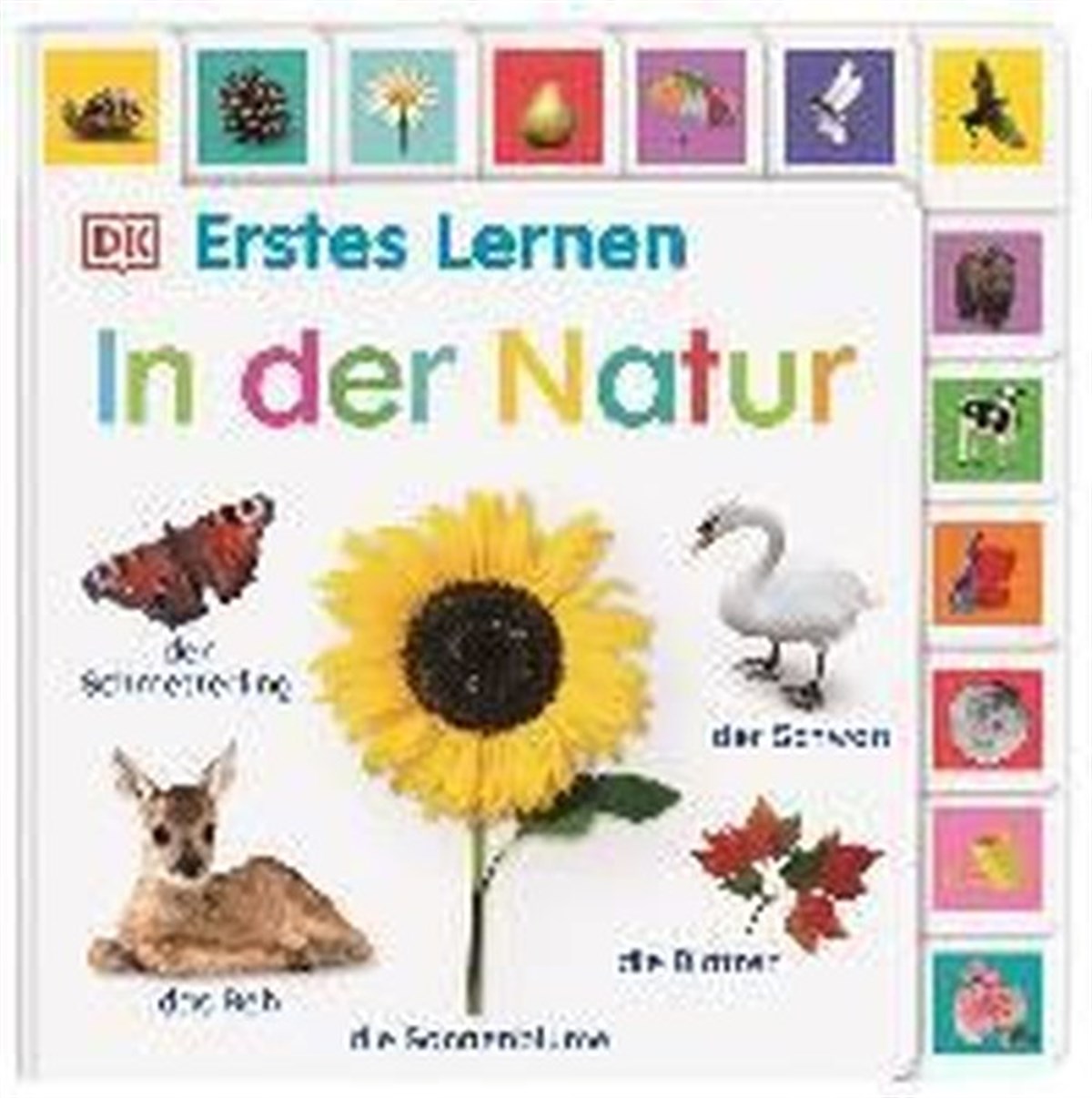 Dorling KindersleyChildrenErstes Lernen. In der Natur