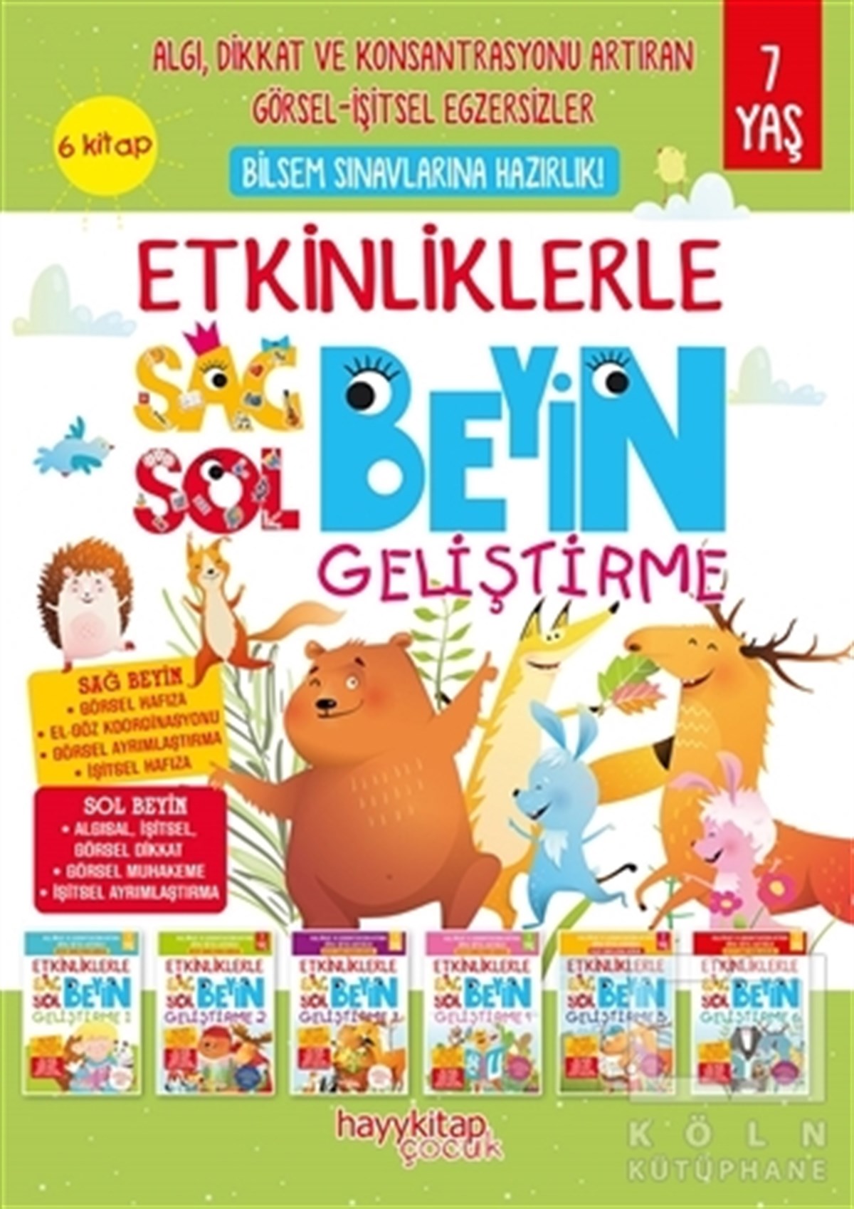 Canan ÖztürkEtkinlik KitaplarıEtkinliklerle Sağ Beyin Sol Beyin Geliştirme (7 yaş) 6’lı Set