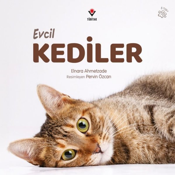 Elnara AhmetzadeÇocuk Bilim KitaplarıEvcil Kediler