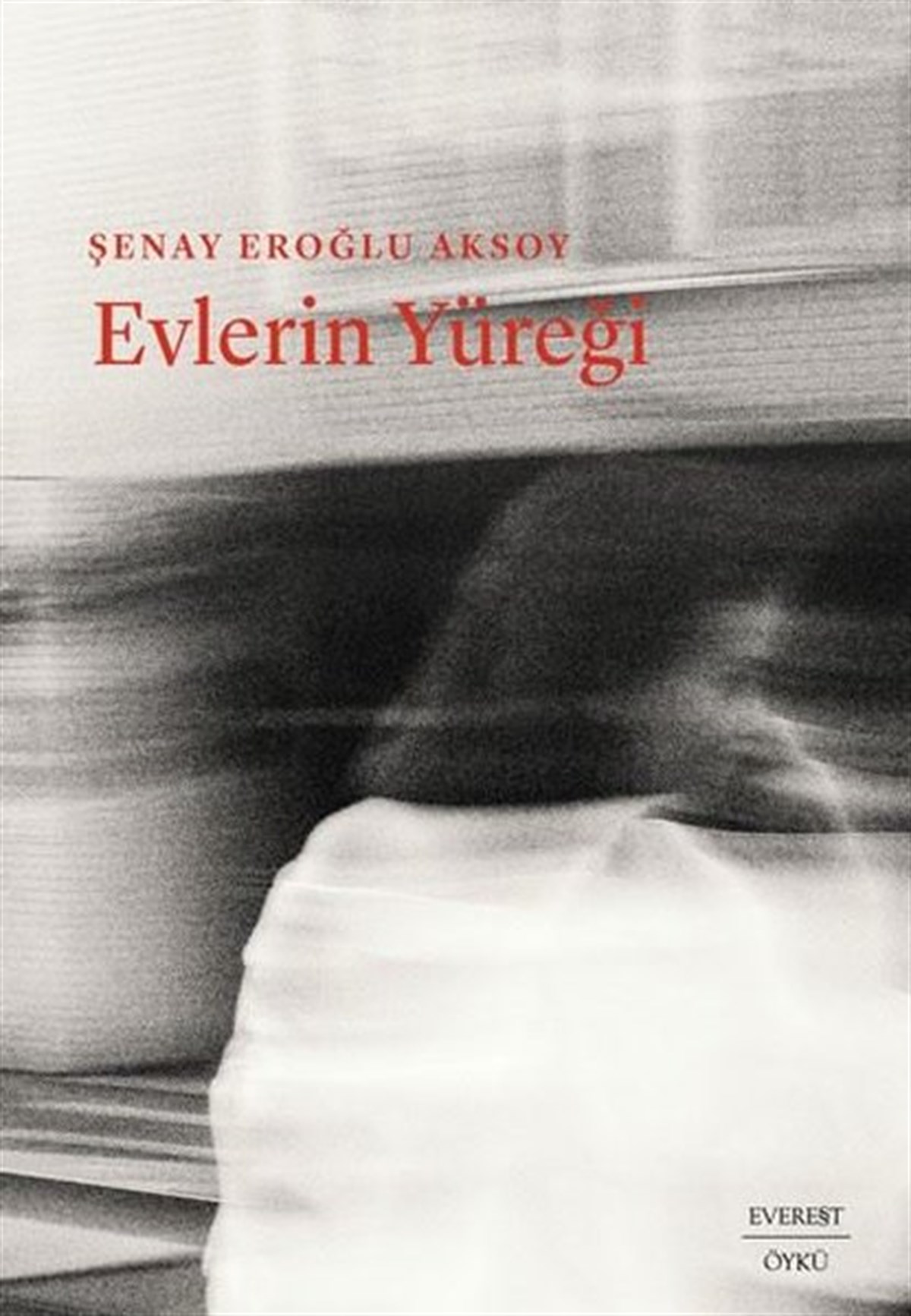 Şenay Eroğlu AksoyTürkiye RomanEvlerin Yüreği
