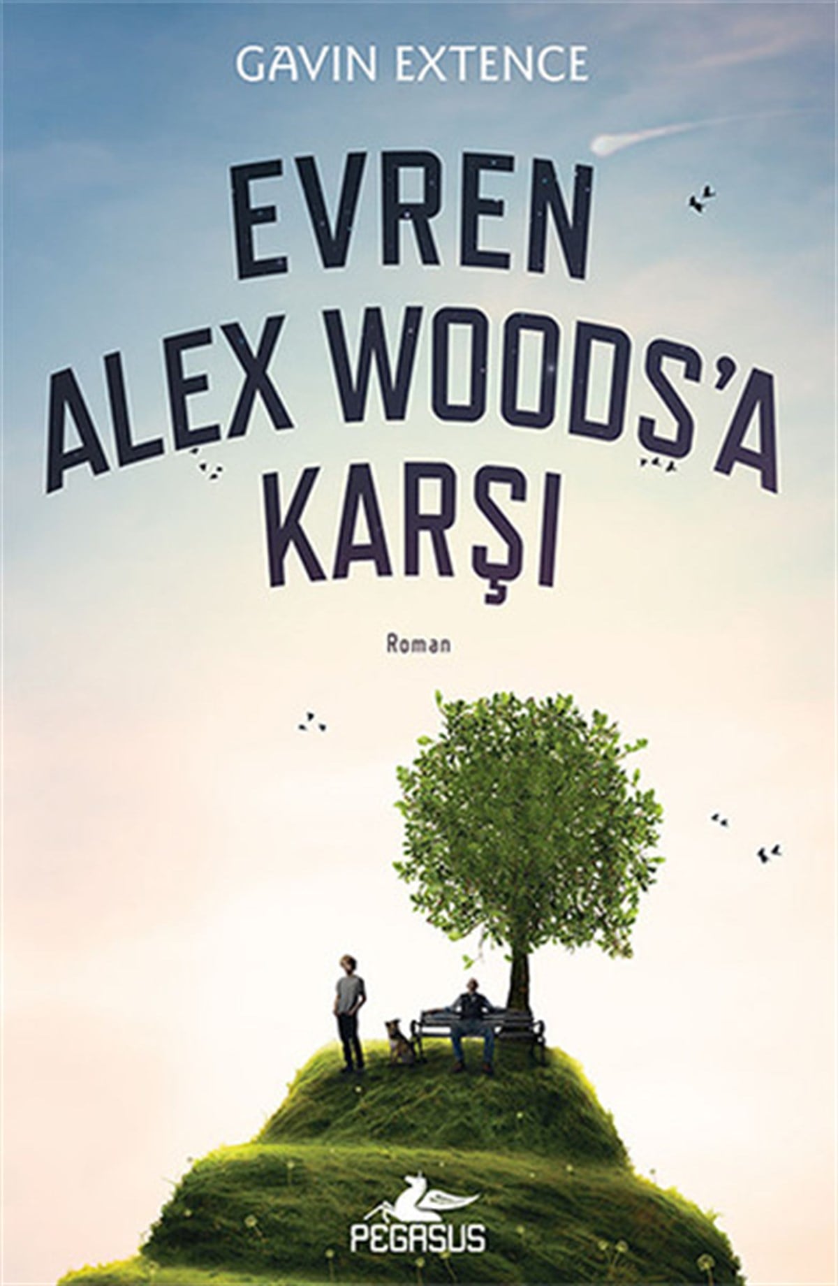 Meral GökDünya RomanEvren Alex Woods'a Karşı