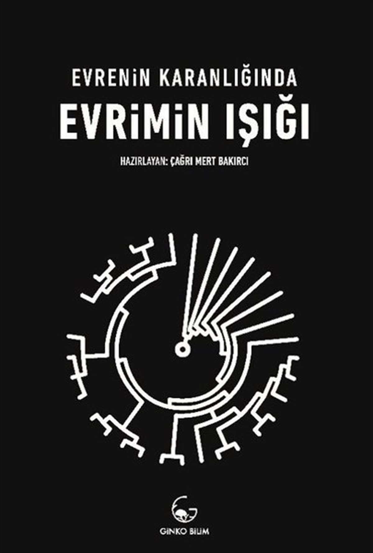 KolektifBeliebte WissenschaftsbücherEvrenin Karanlığında Evrimin Işığı