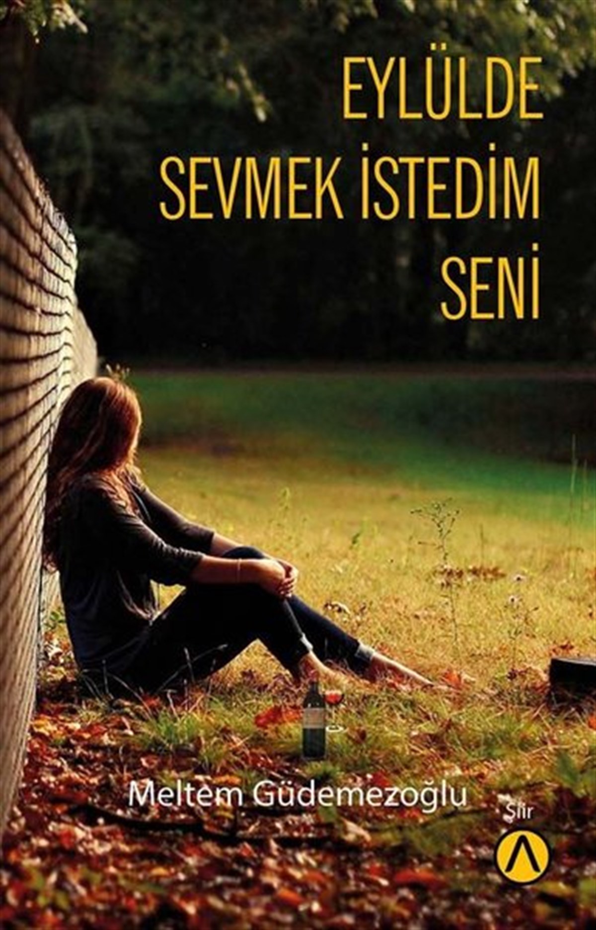Meltem GüdemezoğluTürk ŞiiriEylülde Sevmek İstedim Seni