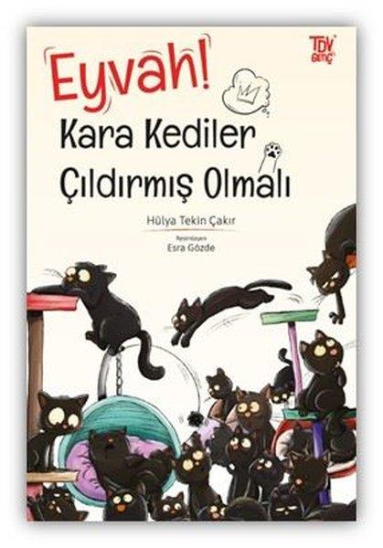 Hülya Tekin ÇakırÇocuk Gençlik RomanlarıEyvah! Kara Kediler Çıldırmış Olmalı