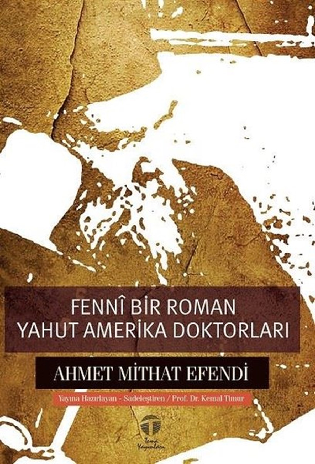 Ahmet Mithat EfendiTürkiye RomanFenni Bir Roman Yahut Amerika Doktorları