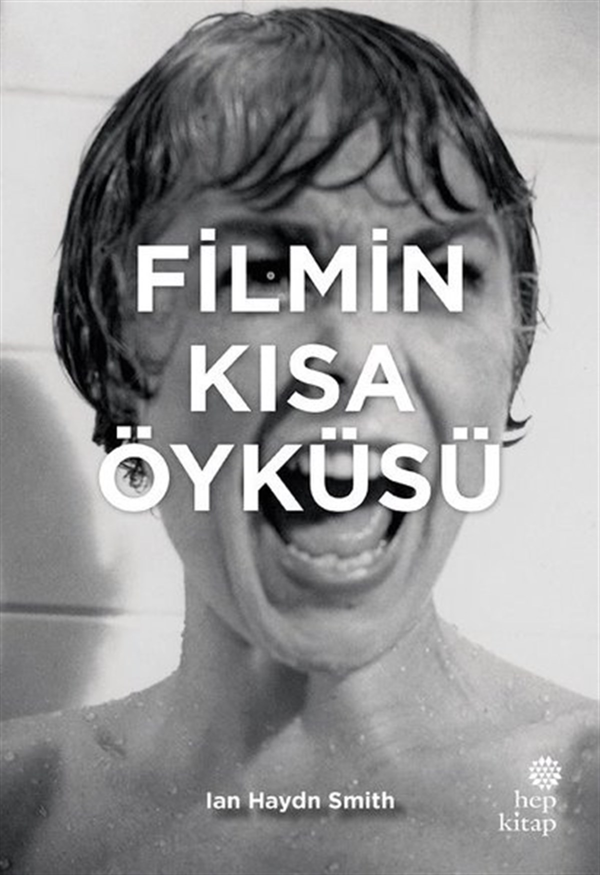 Ian Haydn SmithSanat Kuramı KitaplarıFilmin Kısa Öyküsü