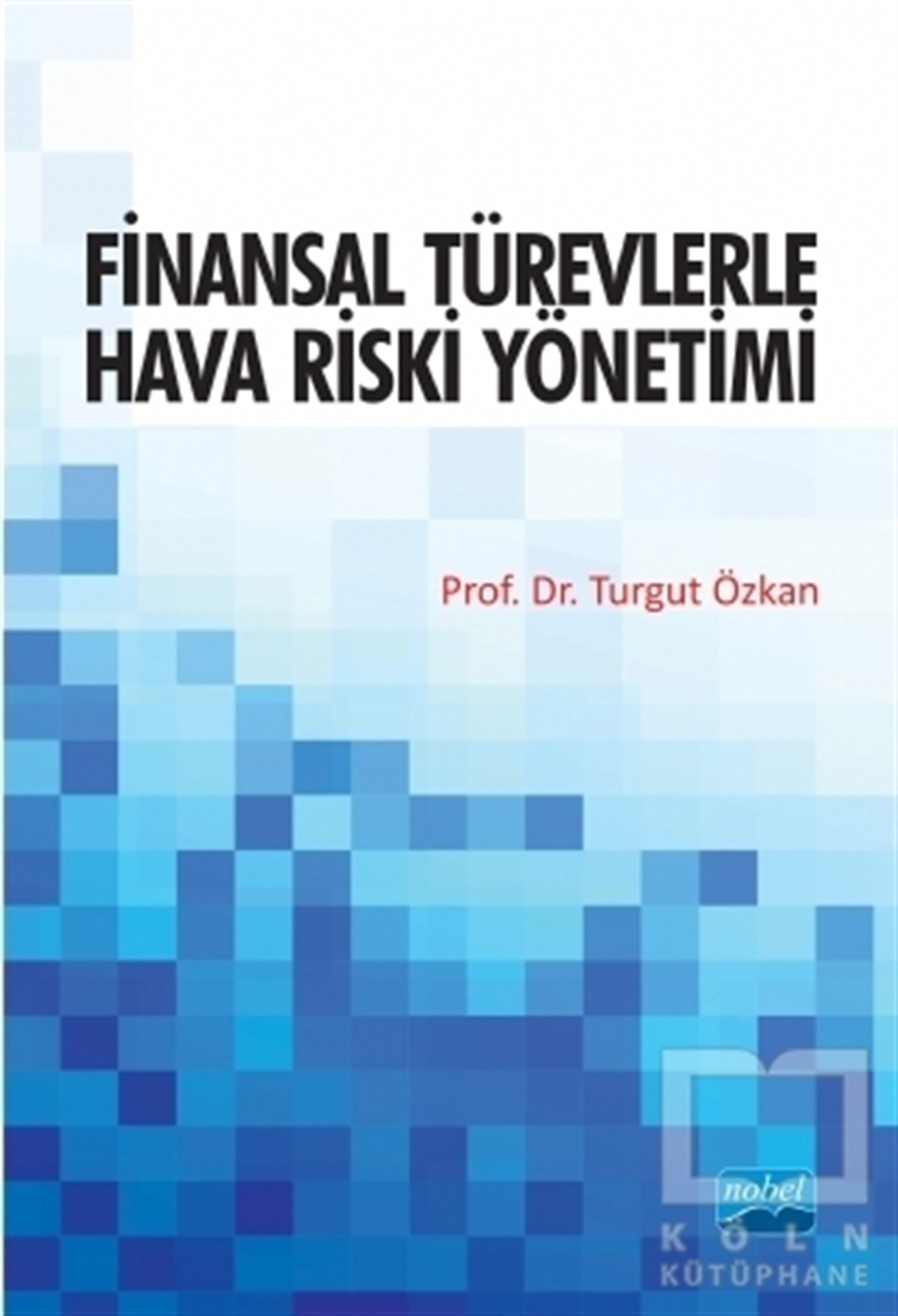 Turgut ÖzkanYönetimFinansal Türevlerle Hava Riski Yönetimi