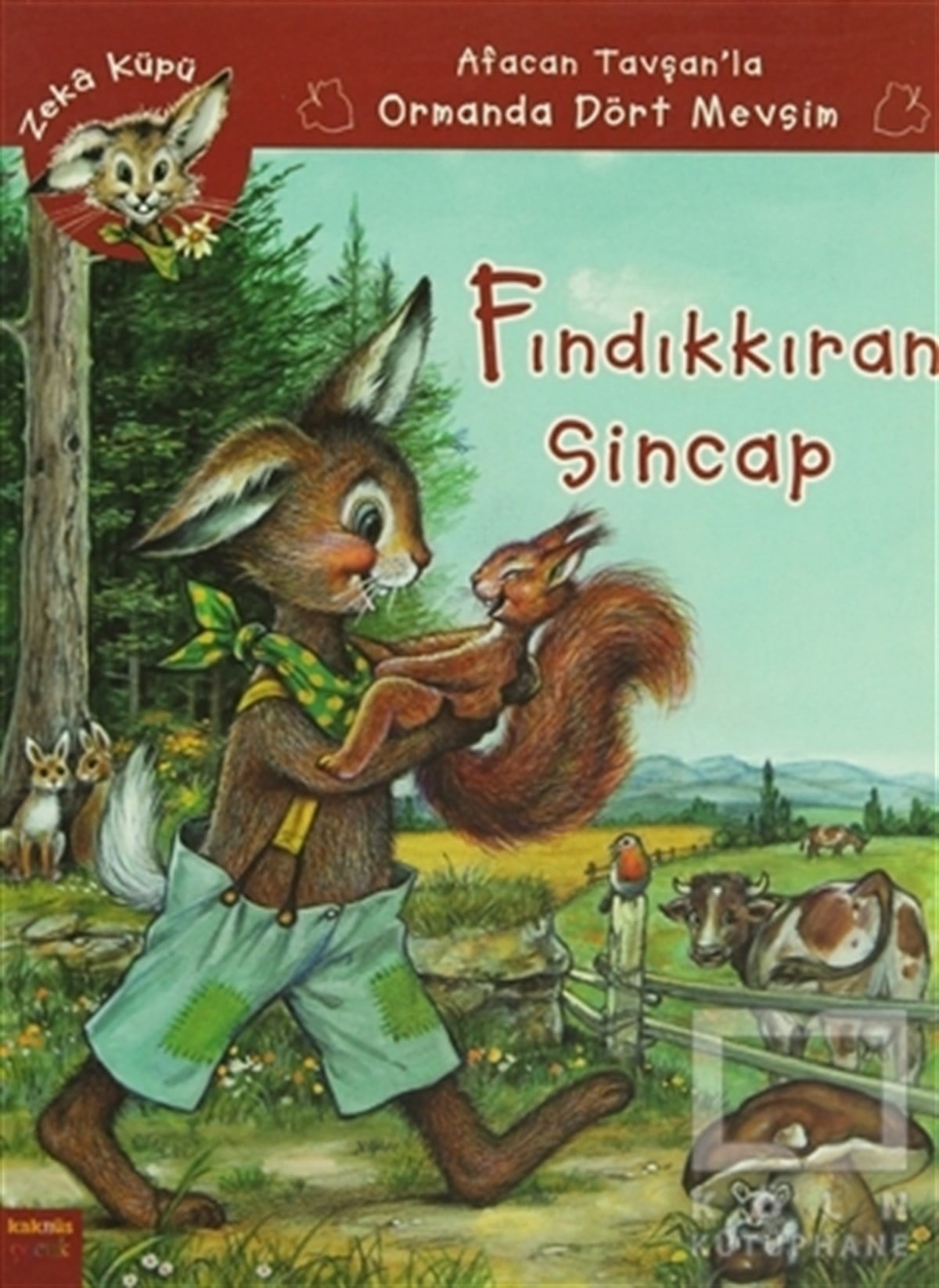 Fındıkkıran Sincap