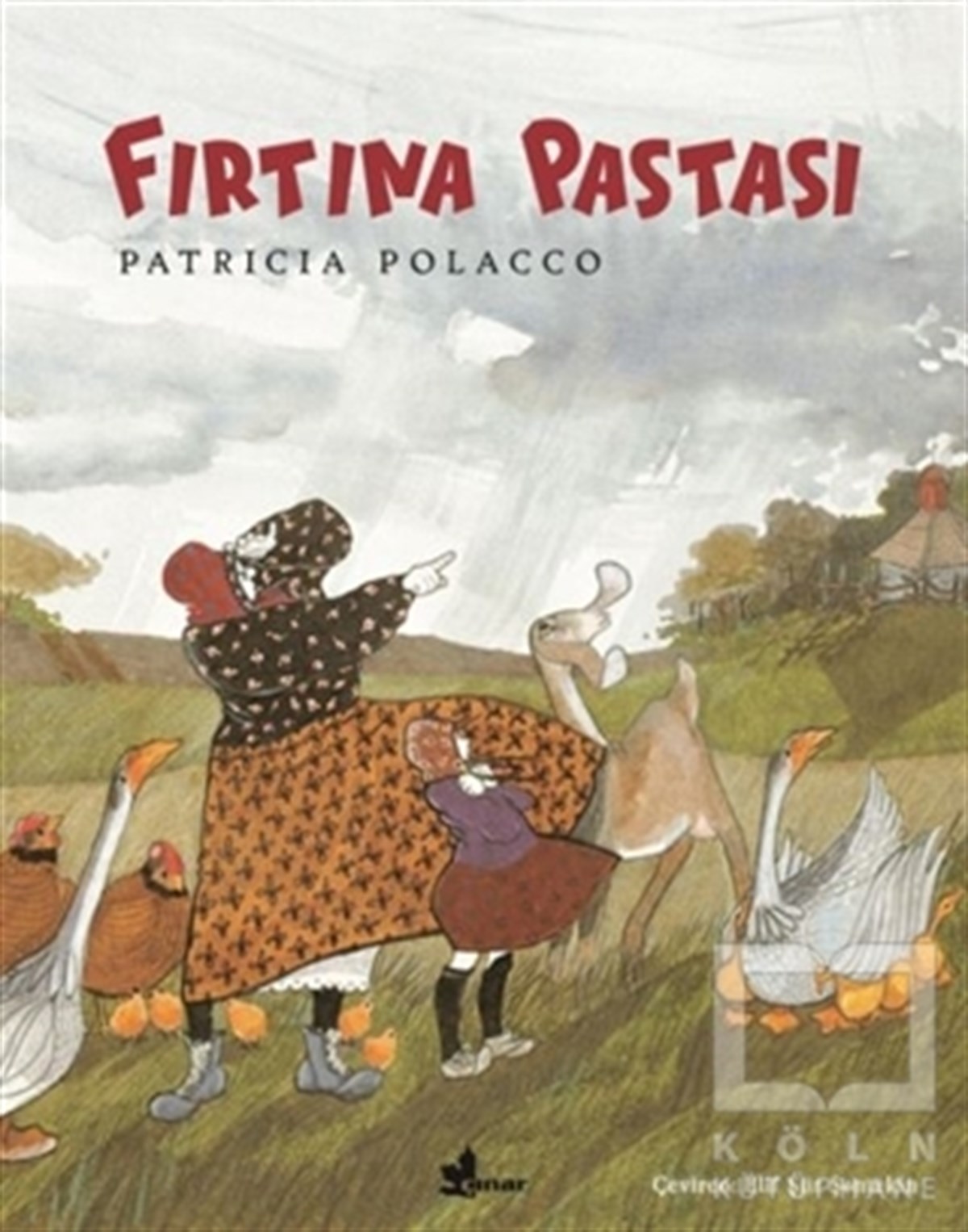 Patricia PolaccoÇocuk Hikaye KitaplarıFırtına Pastası