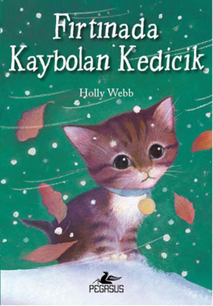 Zeynep ÇamaşÇocuk Masal KitaplarıFırtınada Kaybolan Kedicik