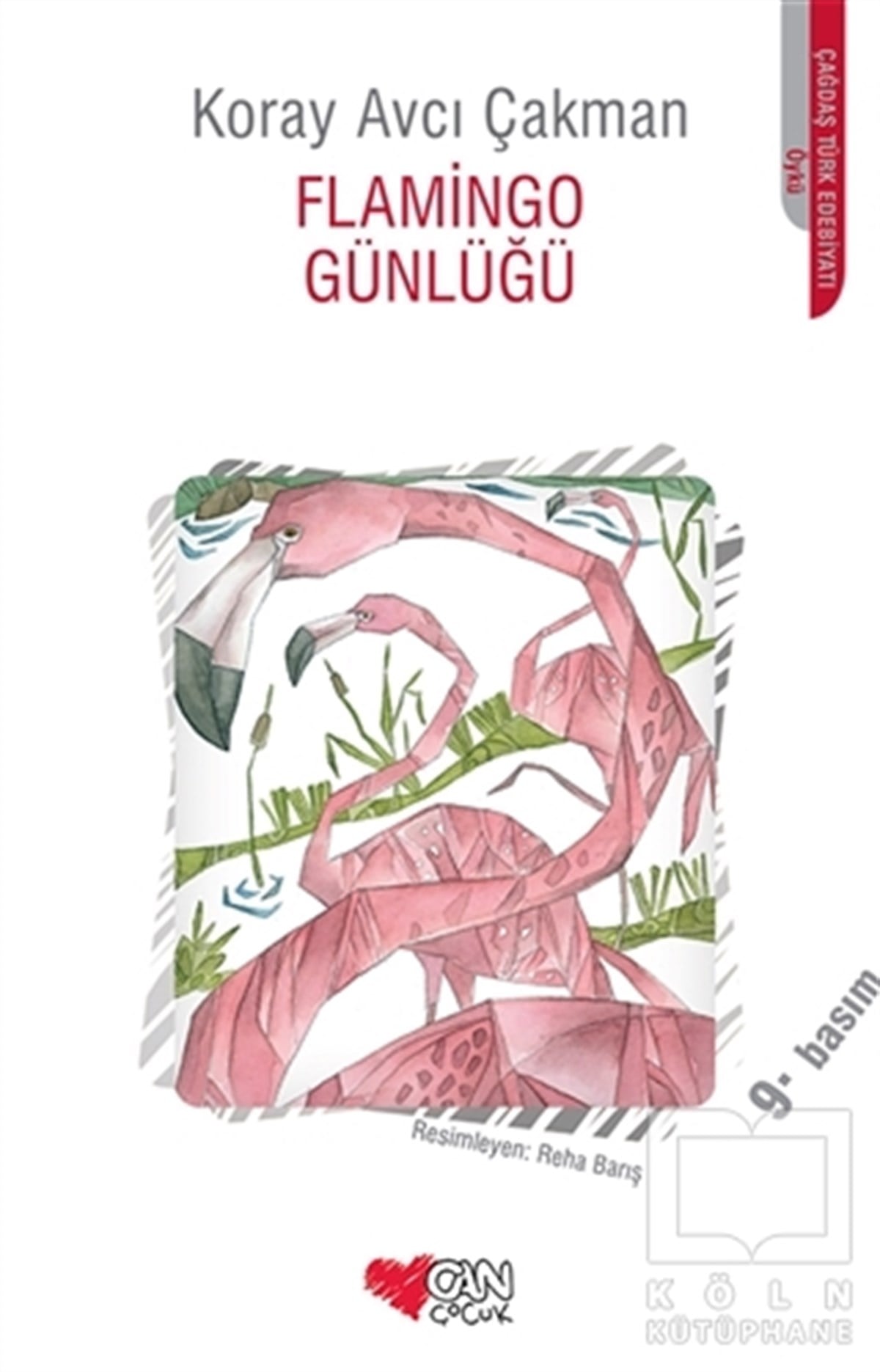 Koray Avcı ÇakmanRoman-ÖyküFlamingo Günlüğü