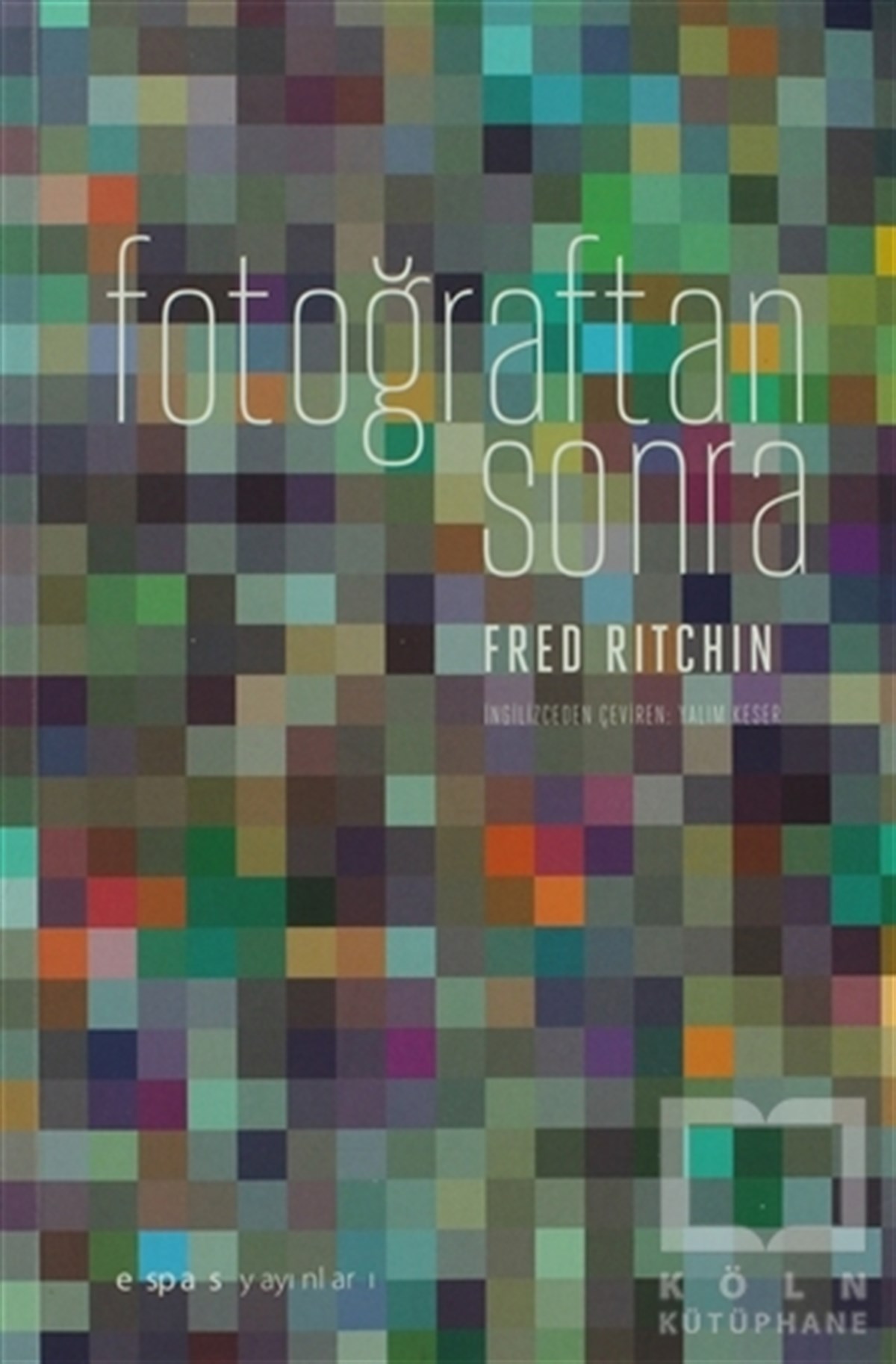 Fred RitchinFotoğraf, Sinema, TiyatroFotoğraftan Sonra