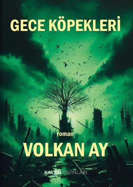 Volkan AyTürk RomaniGece Köpekleri