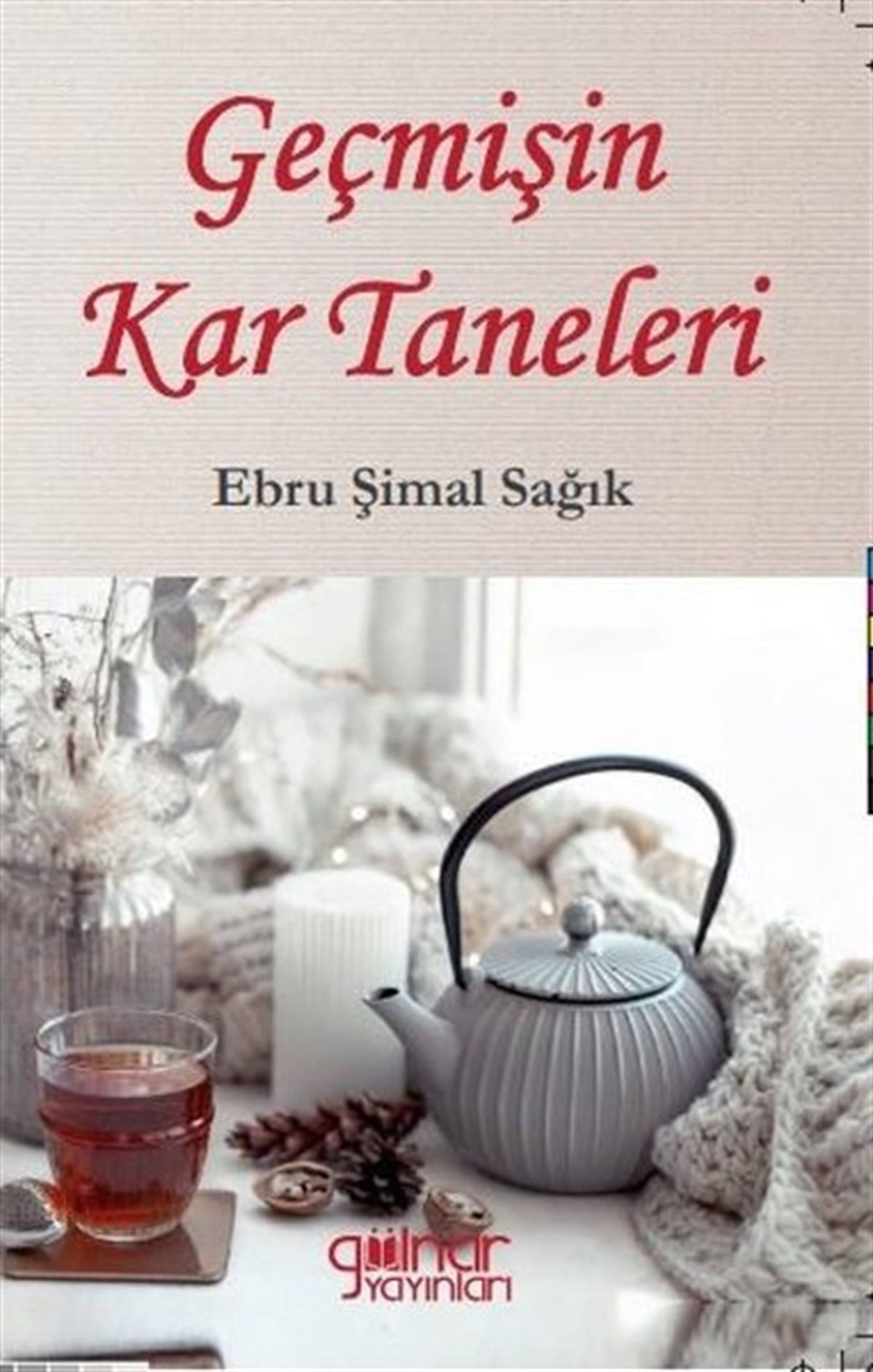Ebru Şimal SağıkDeneme KitaplarıGeçmişin Kar Taneleri