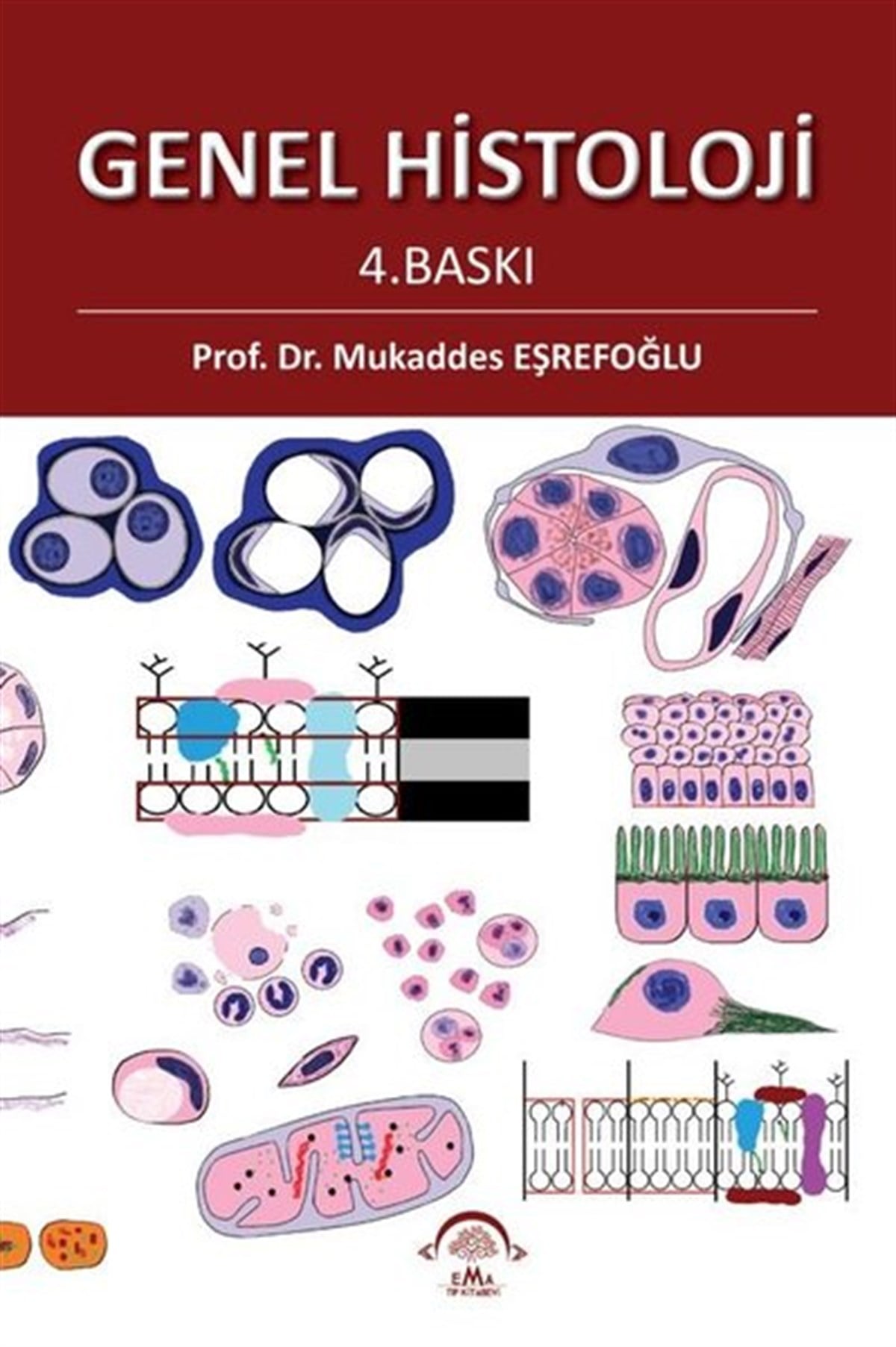 Mukaddes EşrefoğluTıpGenel Histoloji