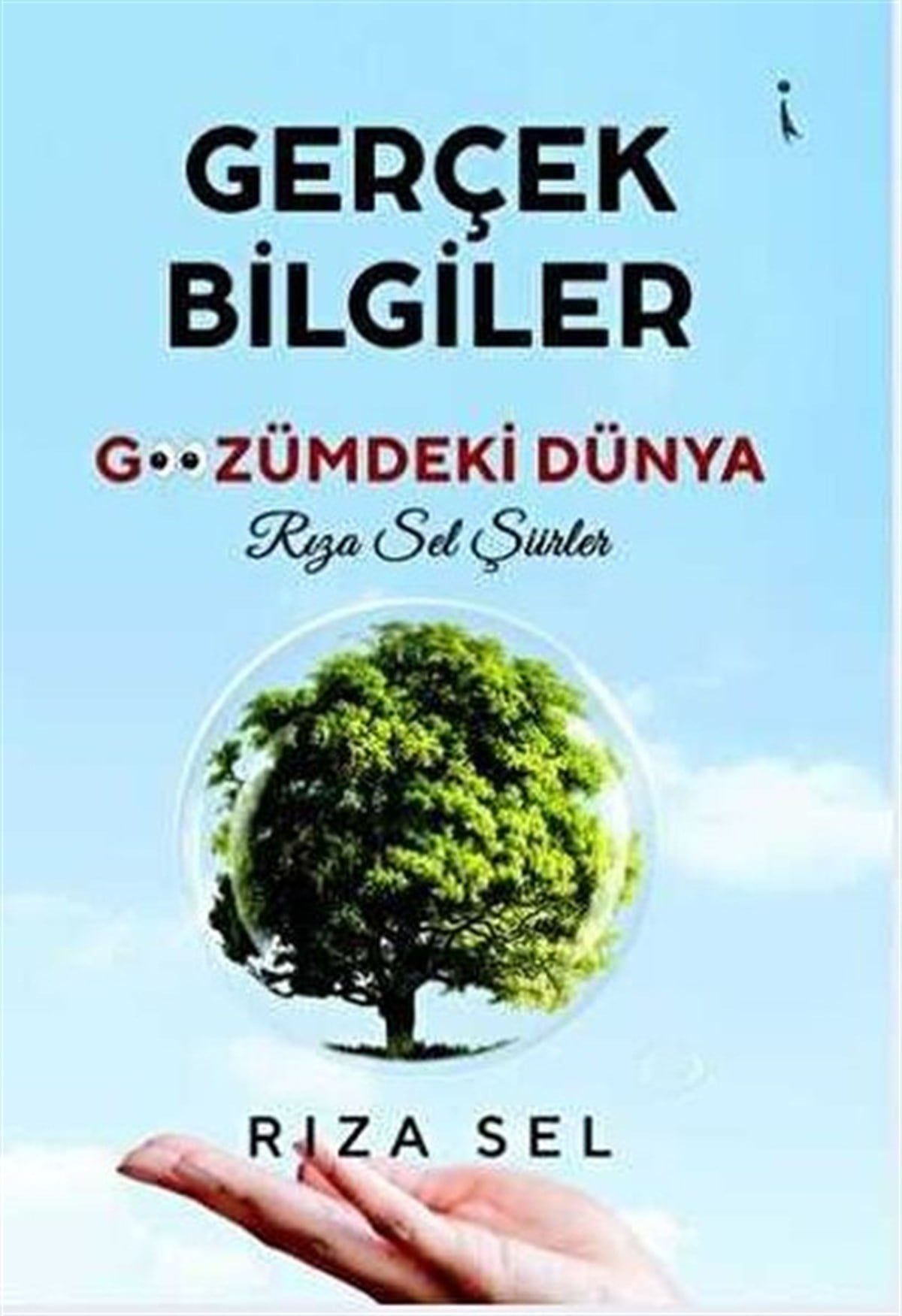 Rıza SelTürk ŞiiriGerçek Bilgiler - Gözümdeki Dünya