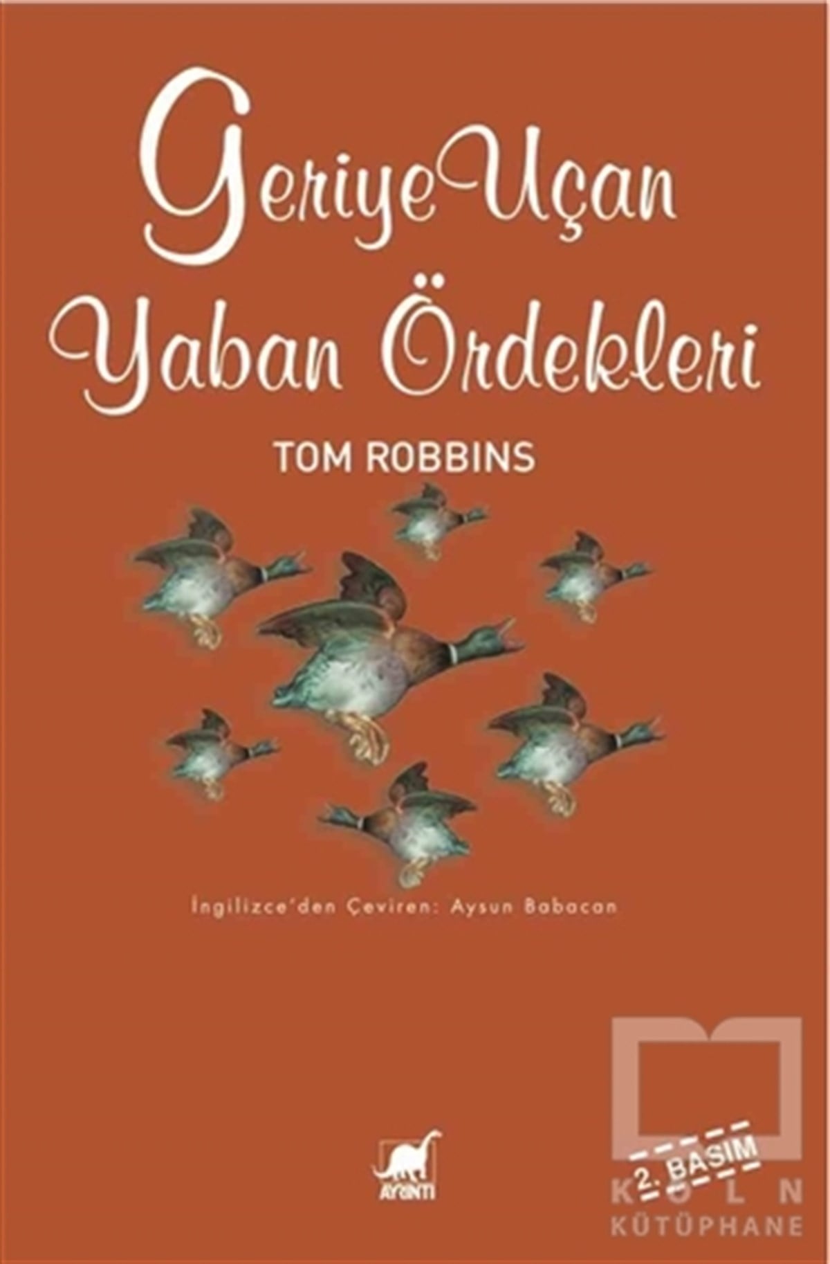Geriye Uçan Yaban Ördekleri