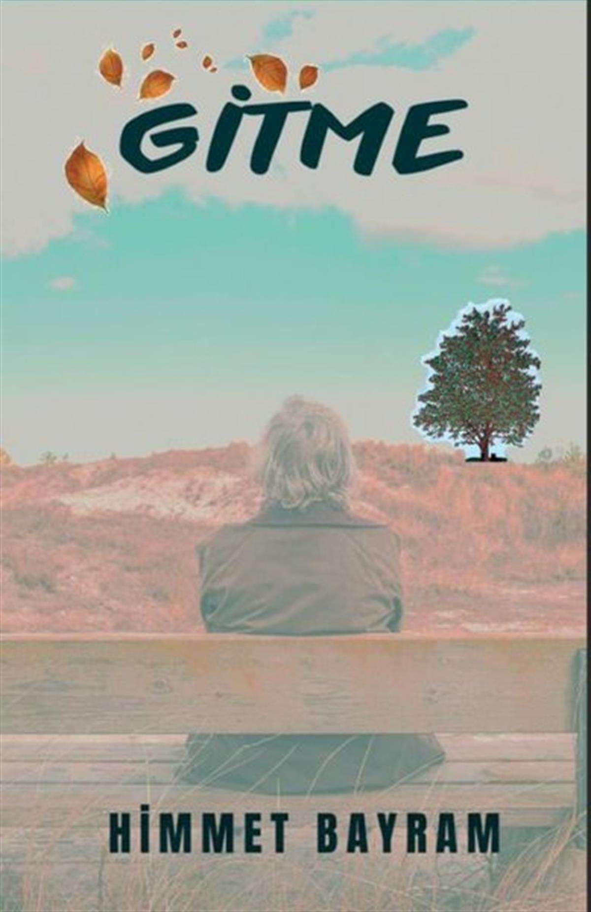 Himmet BayramTürk ŞiiriGitme