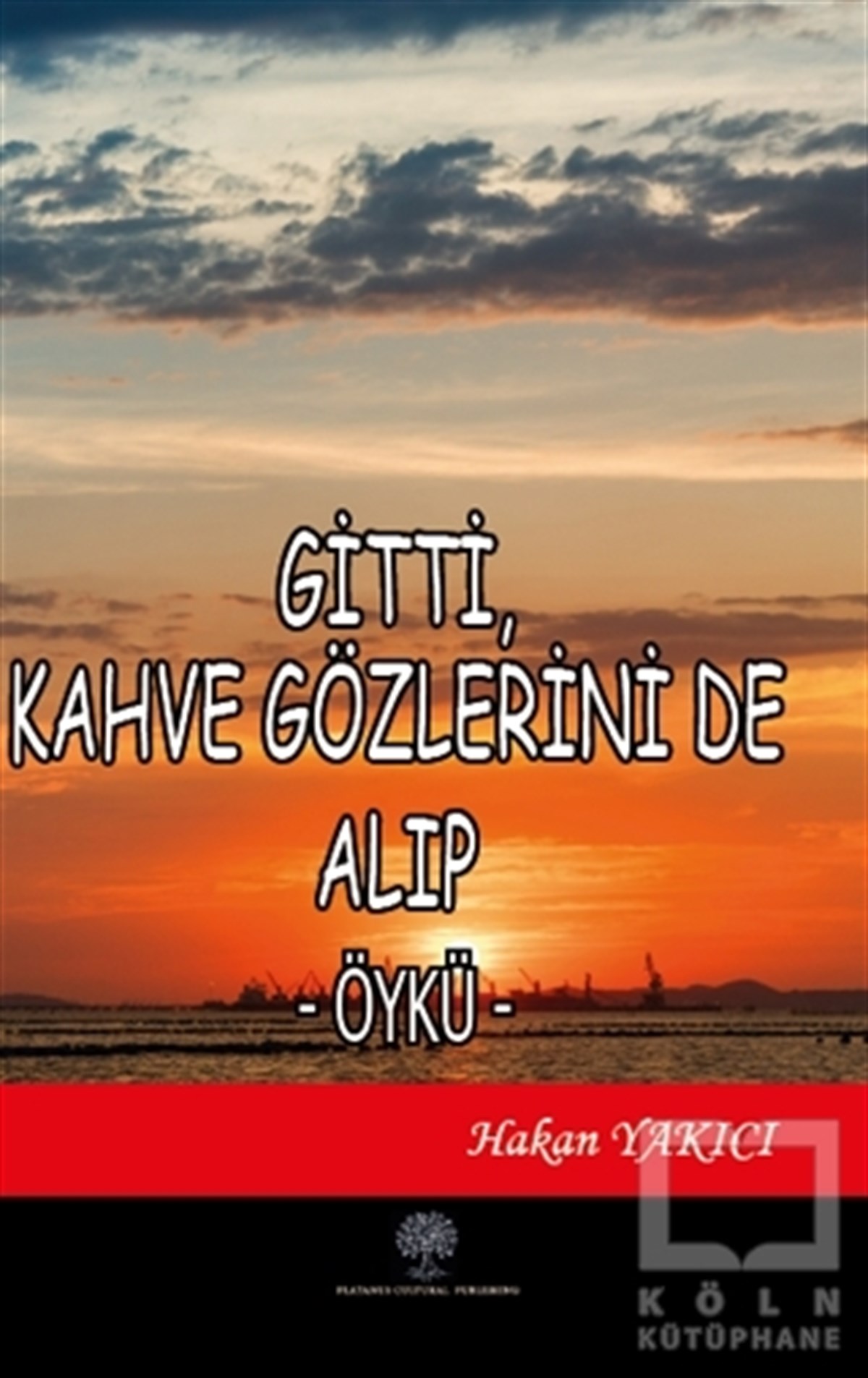 Hakan YakıcıHikaye (Öykü) KitaplarıGitti Kahve Gözlerini de Alıp