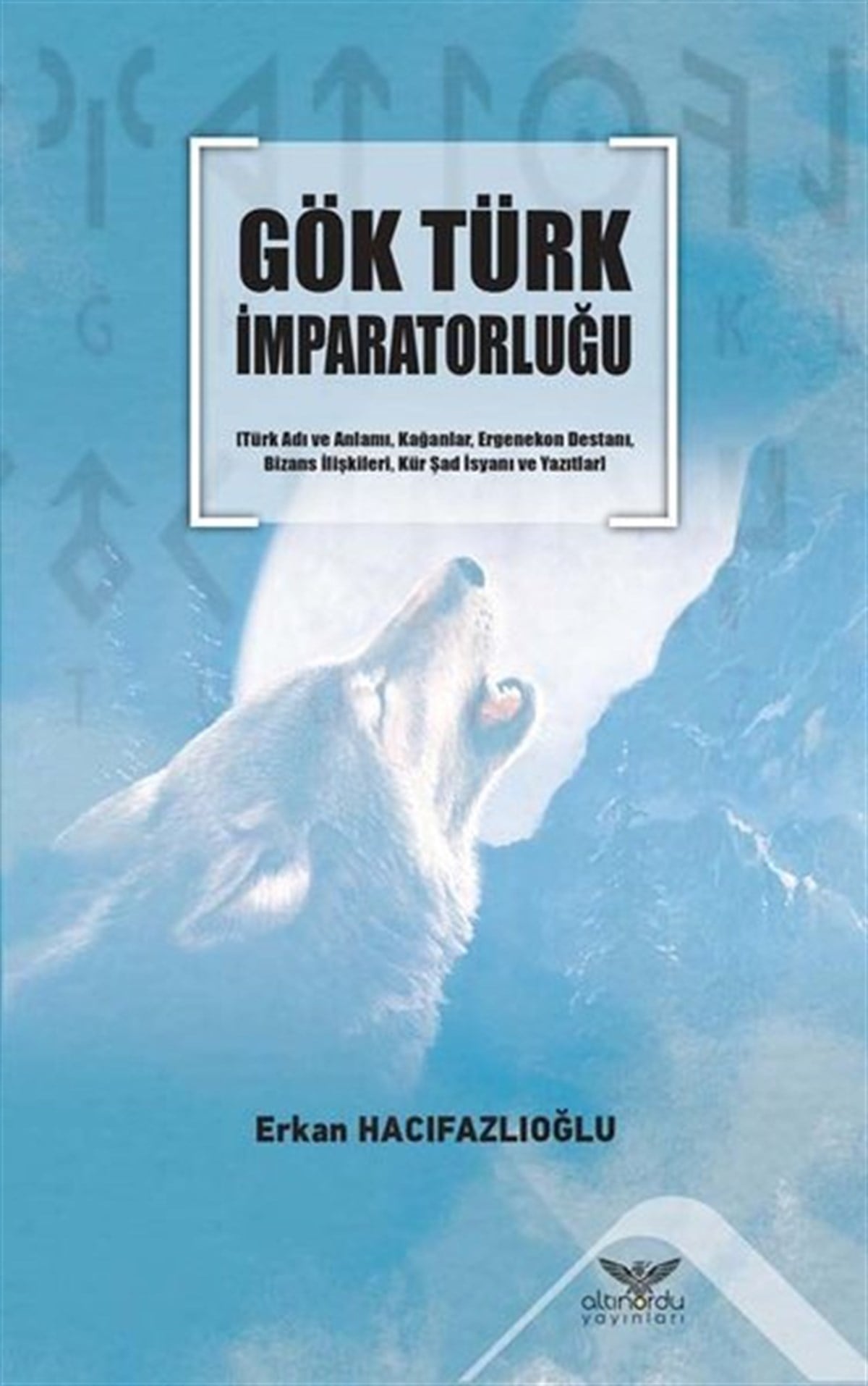 Erkan HacıfazlıoğluTürk Tarihi Araştırmaları KitaplarıGök Türk İmparatorluğu
