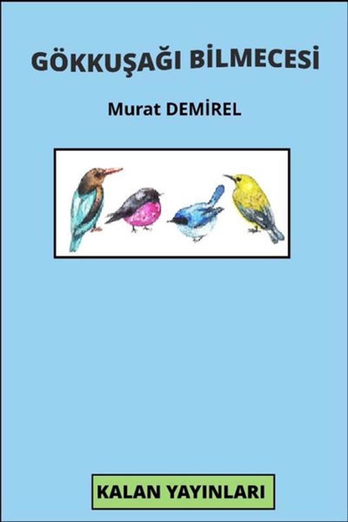 Murat DemirelTürk ŞiiriGökkuşağı Bilmecesi