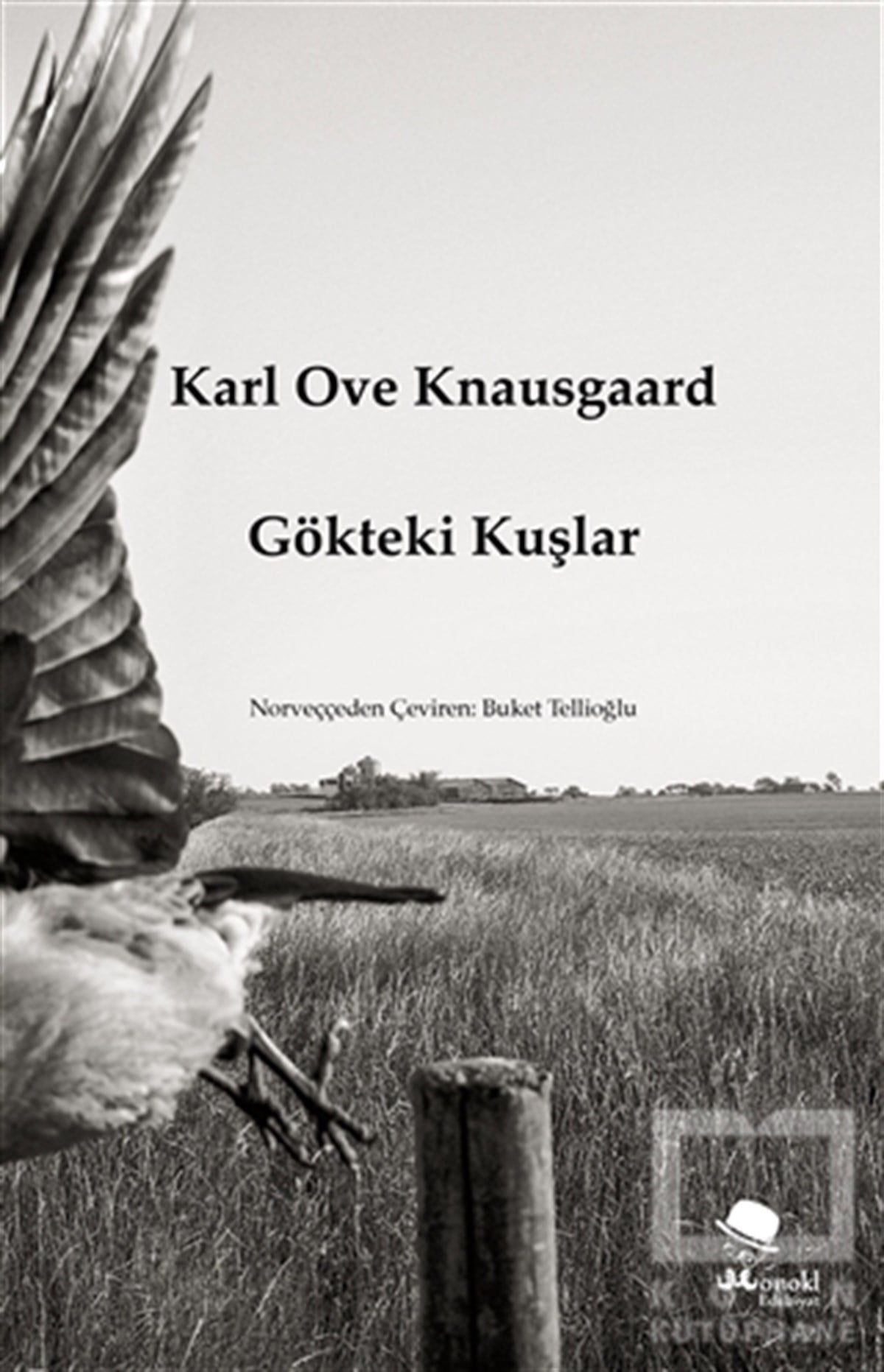 Karl Ove KnausgaardTürkçe RomanlarGökteki Kuşlar