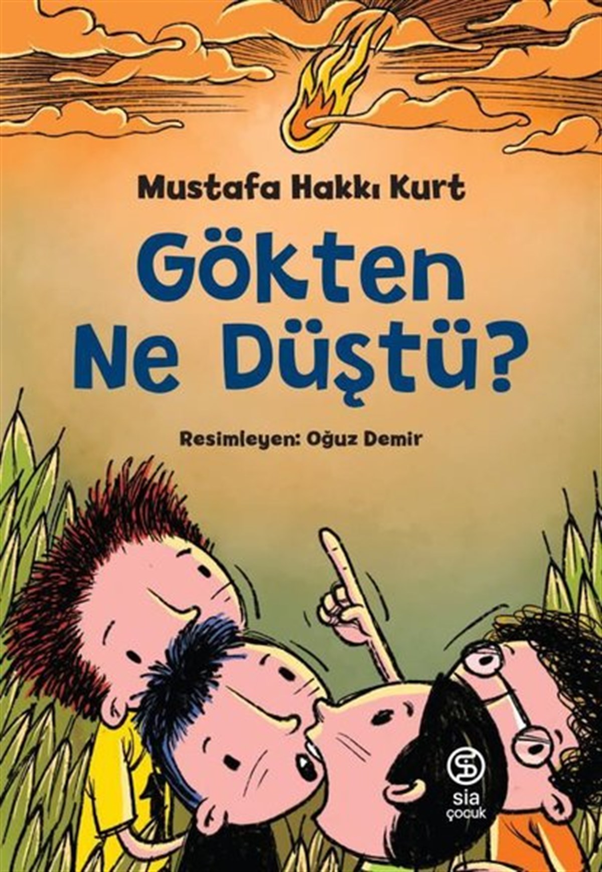 Mustafa Hakkı KurtÇocuk Gençlik RomanlarıGökten Ne Düştü?
