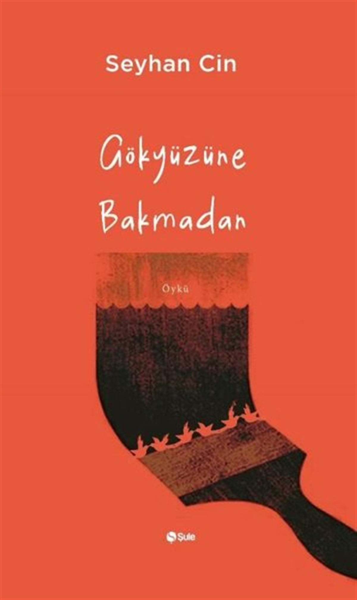 Seyhan CinTürkiye RomanGökyüzüne Bakmadan