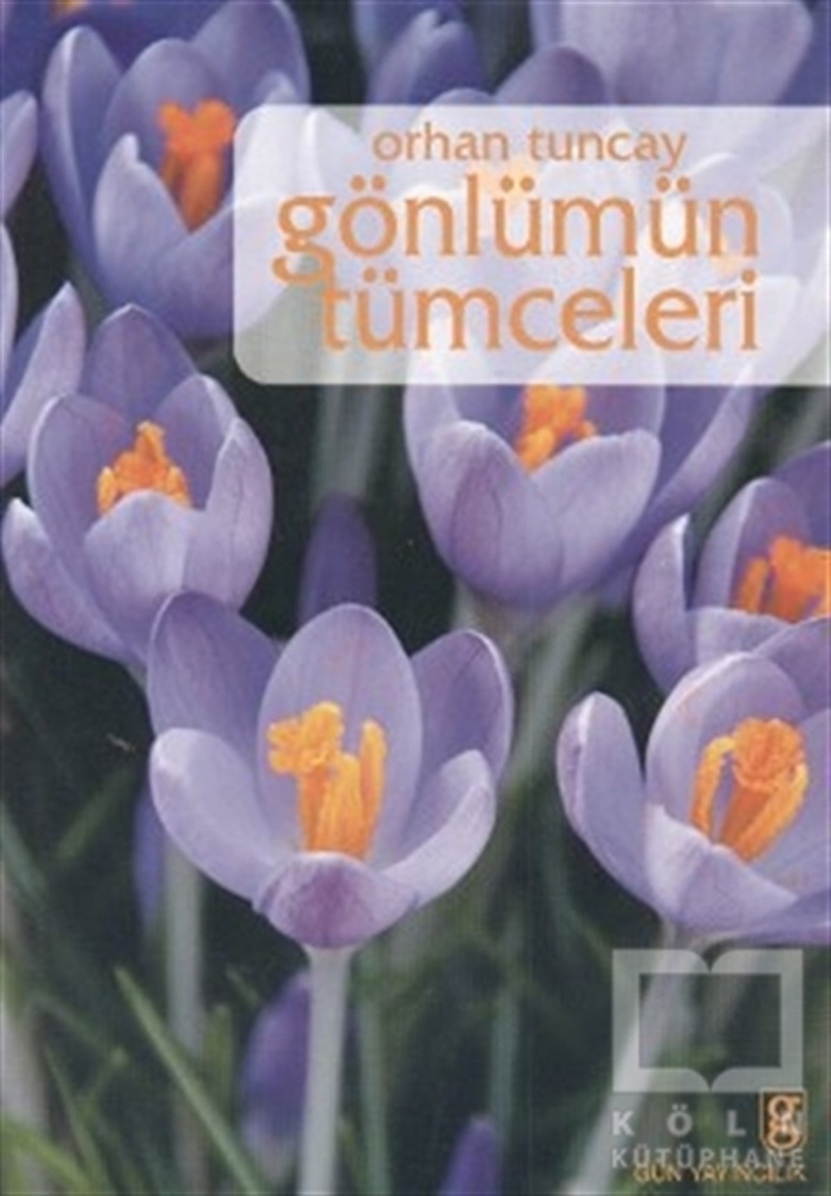Orhan TuncayŞiirGönlümün Tümceleri