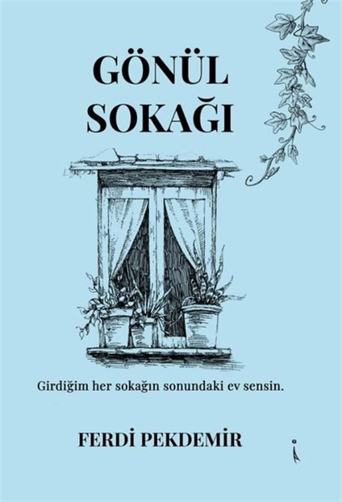 Ferdi PekdemirTürk ŞiiriGönül Sokağı